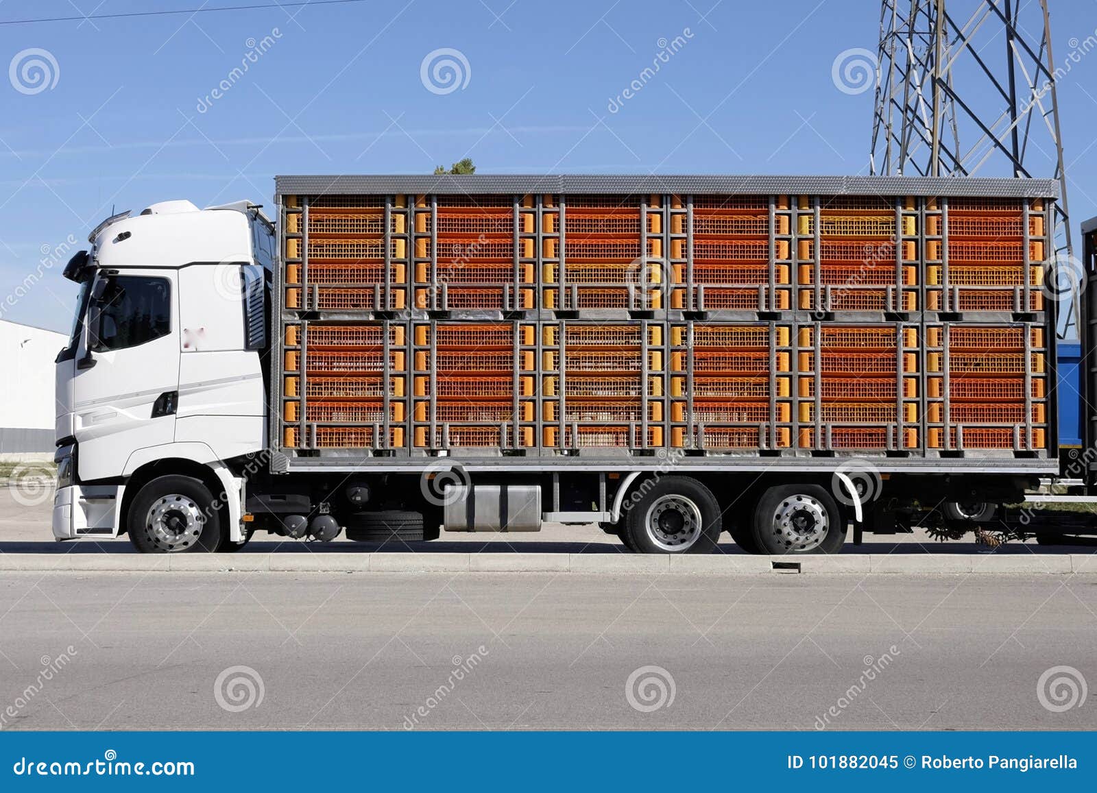 41,395 Animal Transport Stock Photos - Free & Royalty-Free Stock Photos  from Dreamstime