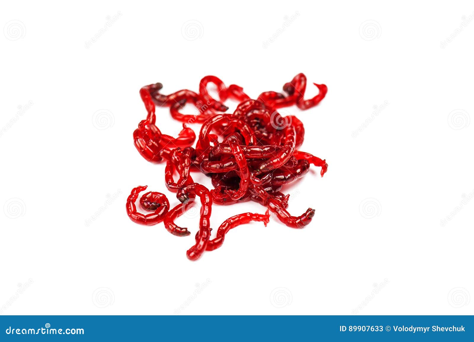 Live bloodworm isolated stock image. Image of isolated - 89907633