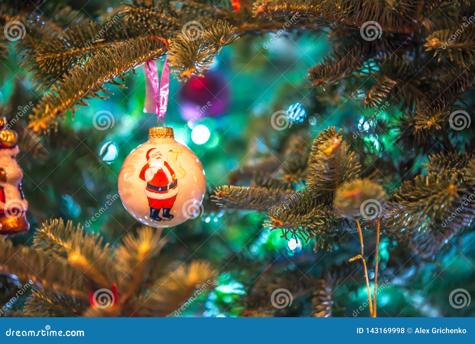 Live Christmas Tree Decorated for Holidays Stock Photo Image of tree