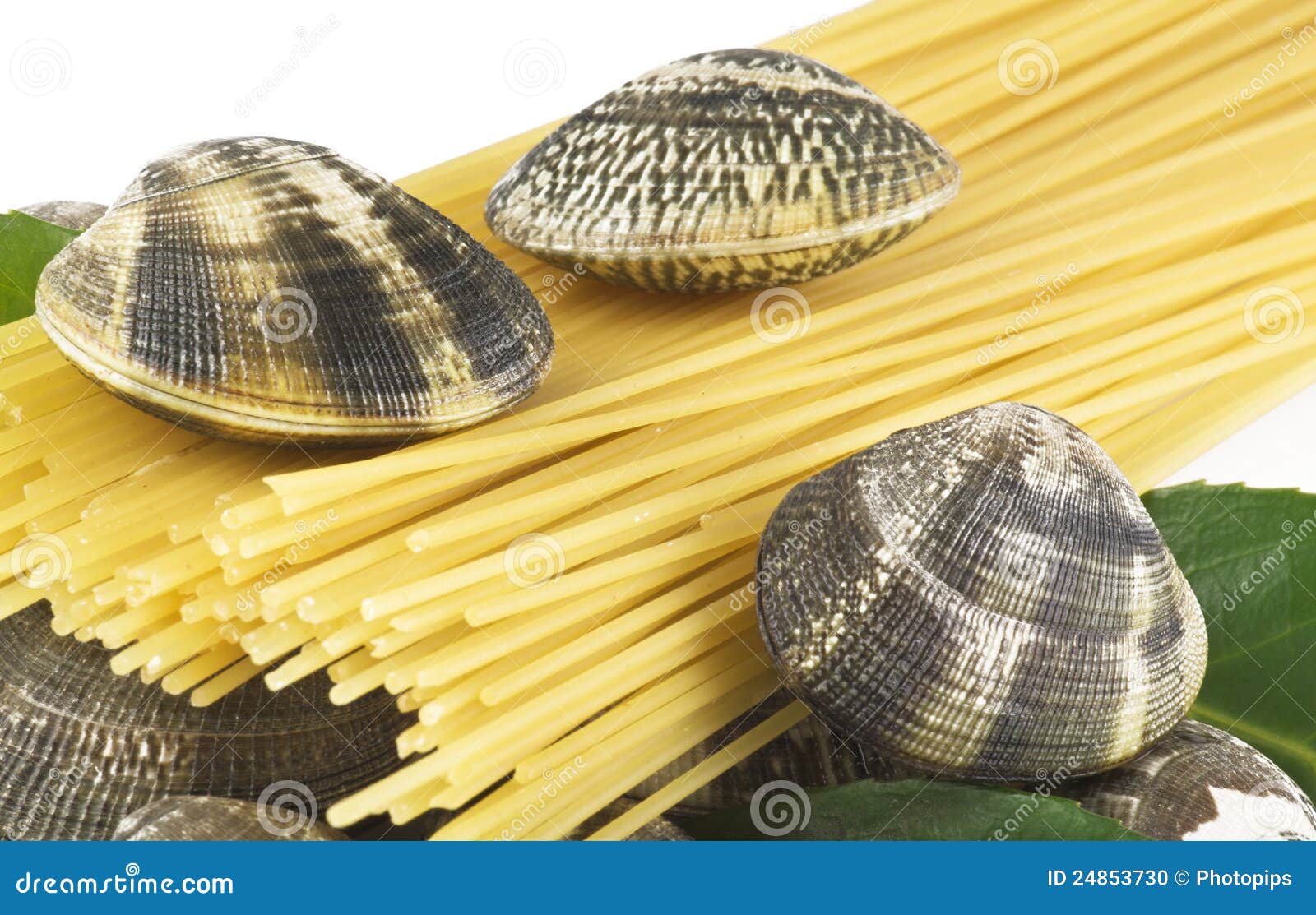 Live clams stock photo. Image of garlic, prepared, freshness 24853730