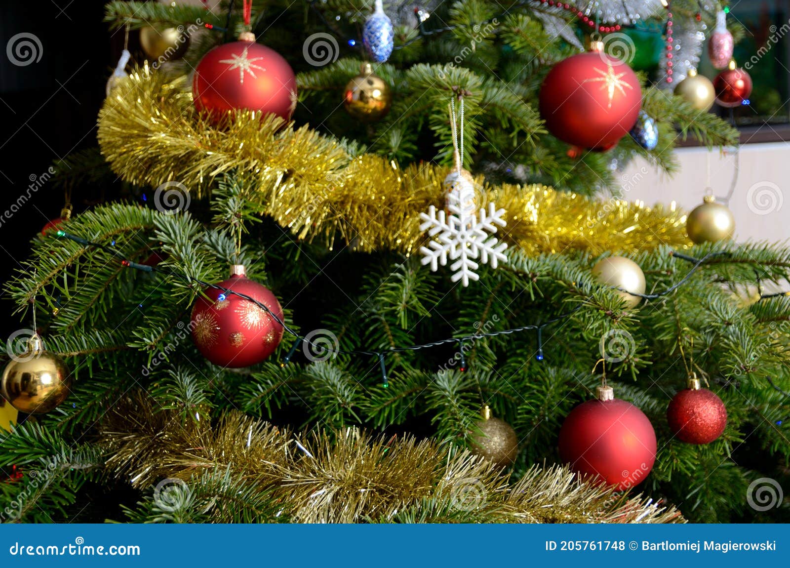 Live Kerstboom Met Gouden Ketting Stock Foto - Image of kerstmis ...