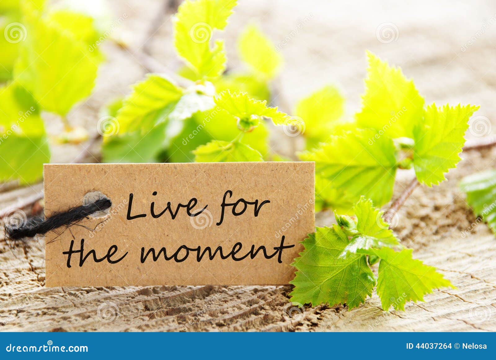 live for the moment label