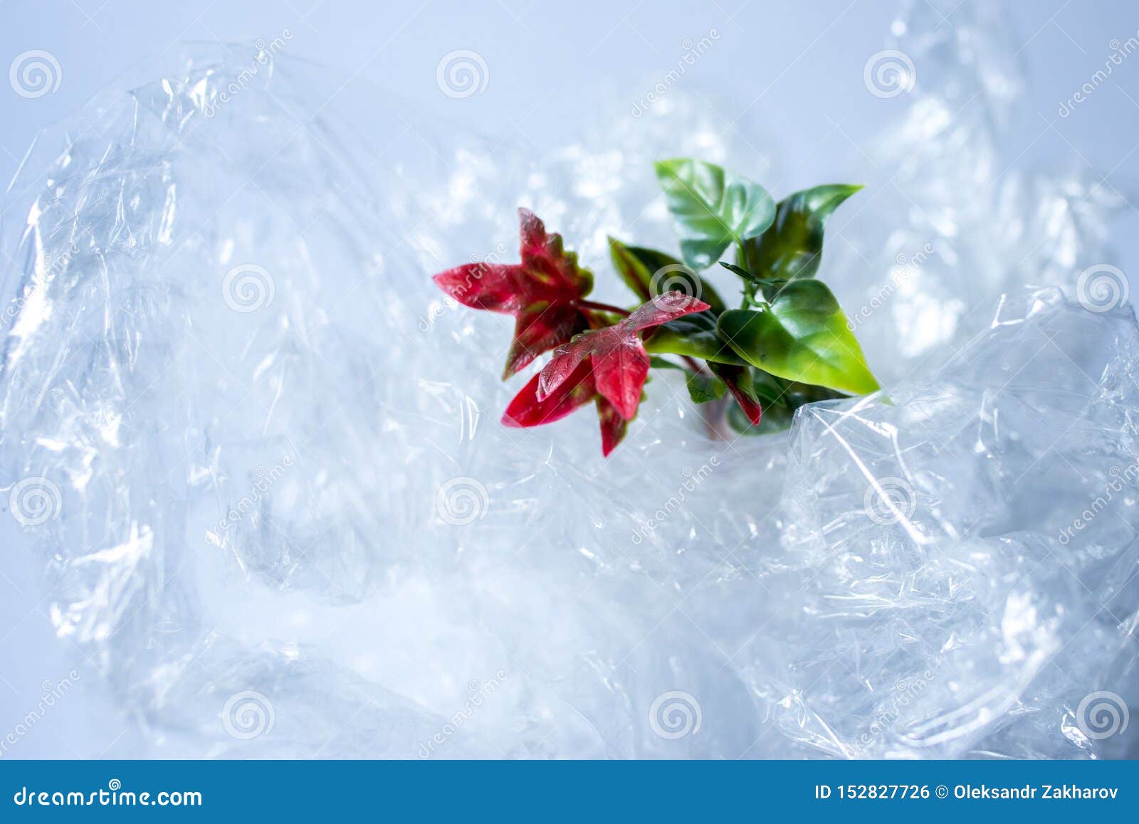 Live Plants and Plastic Problems of Ecology Background Stock Photo