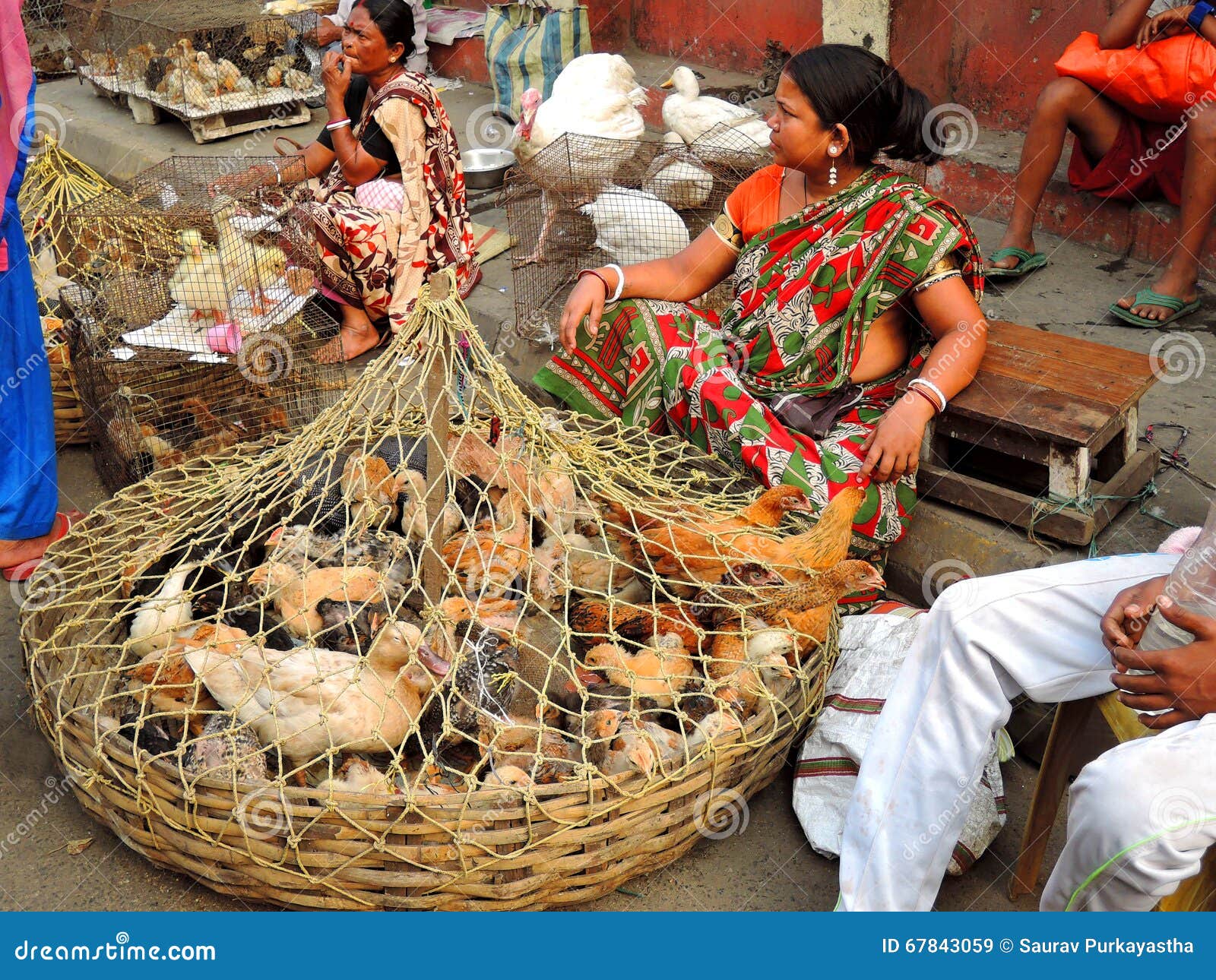 44 Best Pictures Backyard Poultry In India : Backyard Poultry Farming Through Self-Help Groups in West ...