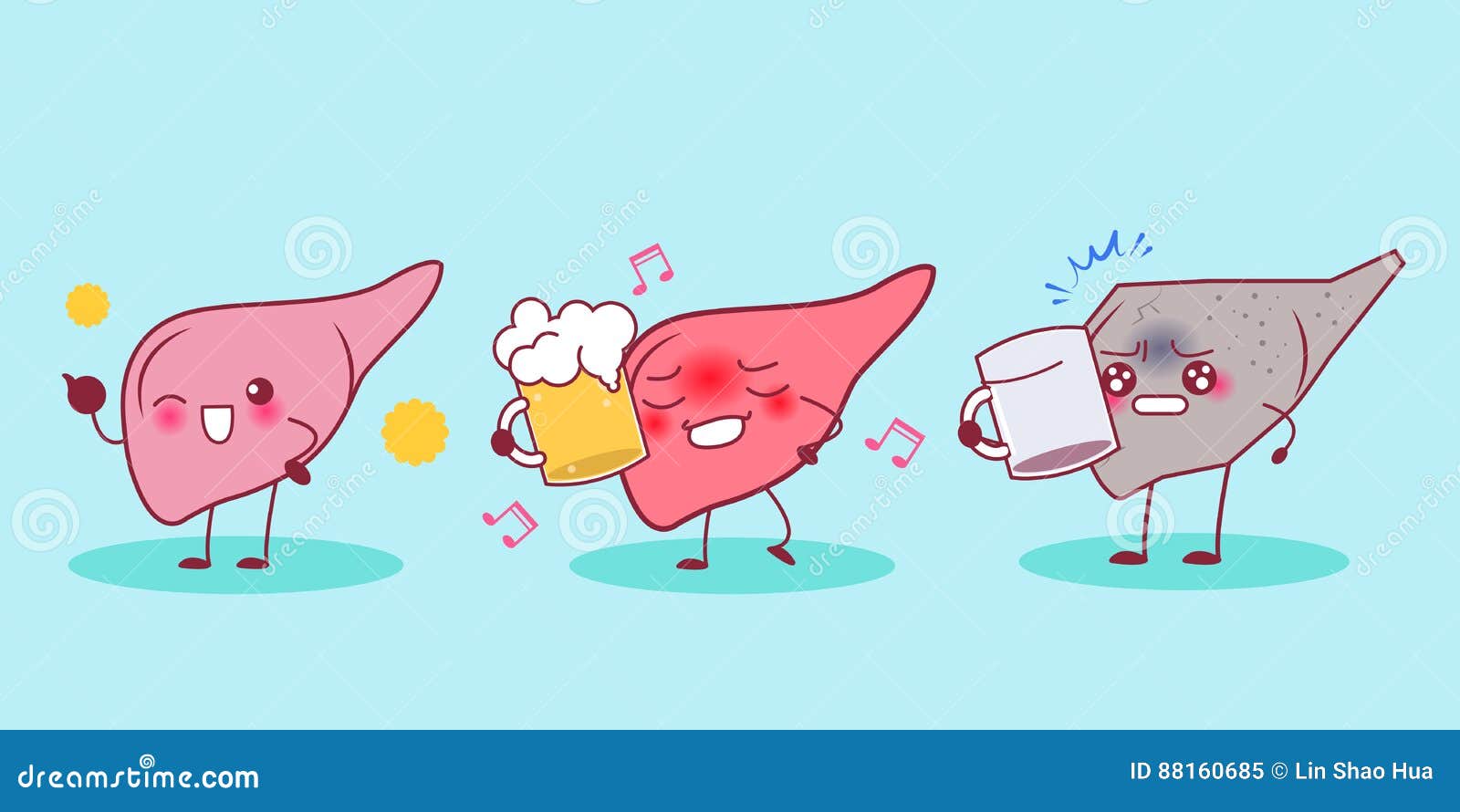 Beer effect on liver