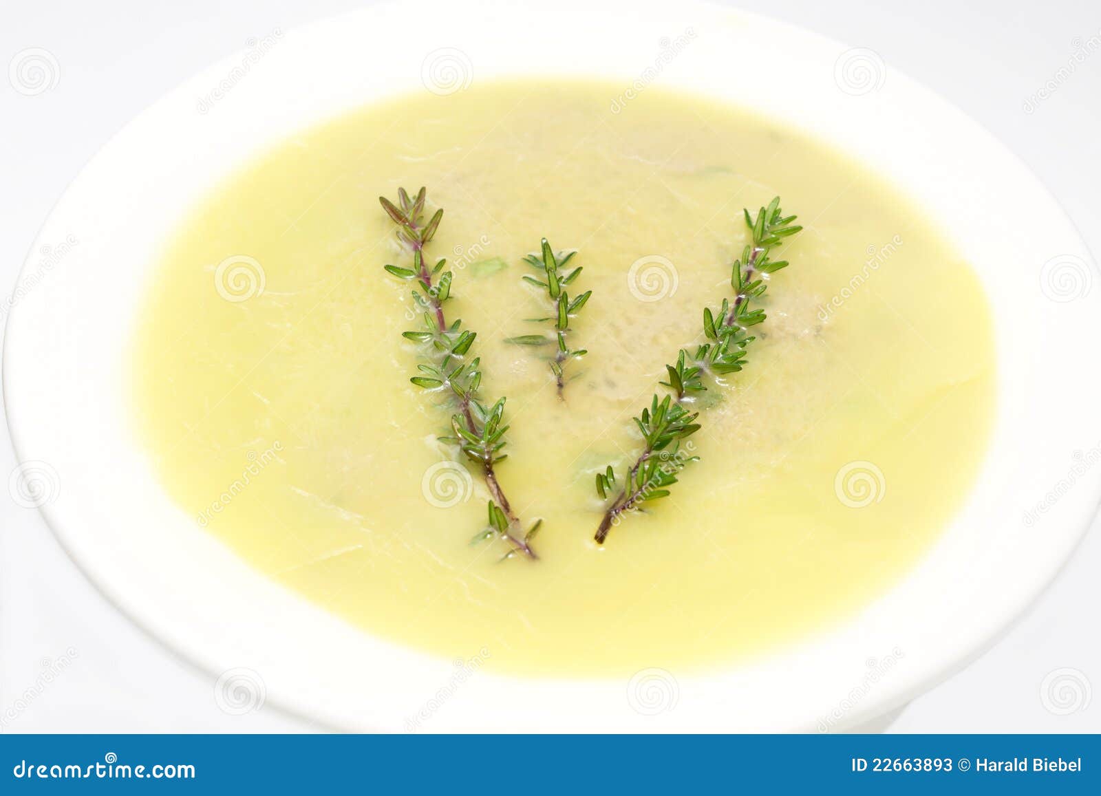 Liver Pate with Thyme Branch Stock Image Image of homemade, terrine 22663893