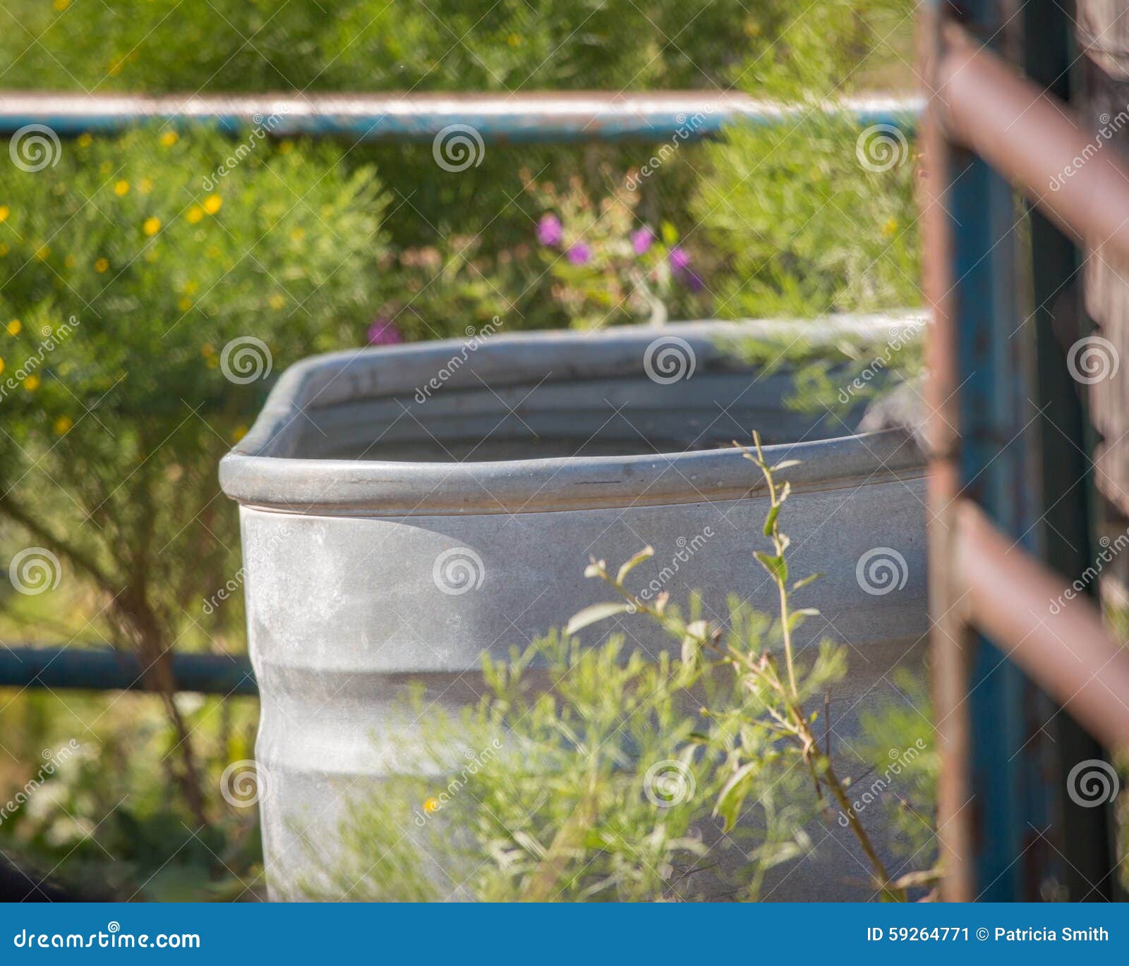Livestock tank stock image. Image of metal, galvanized 59264771