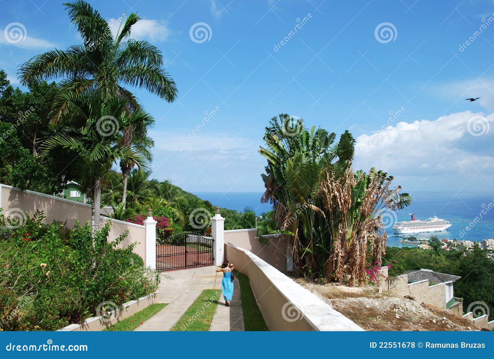Living in Jamaica stock photo. Image of residential, nature 22551678