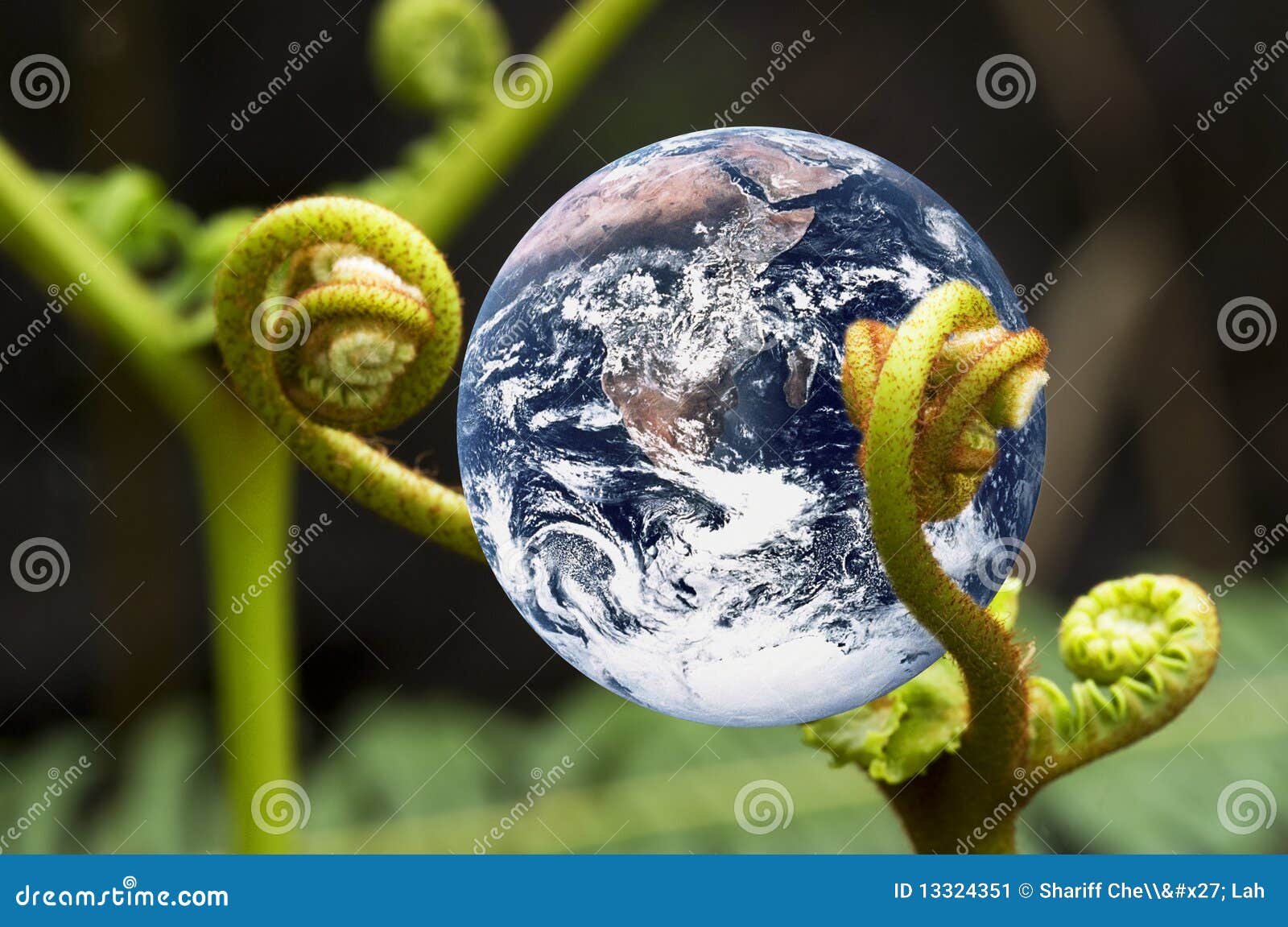 Living Earth stock image. Image of macro, continents 13324351