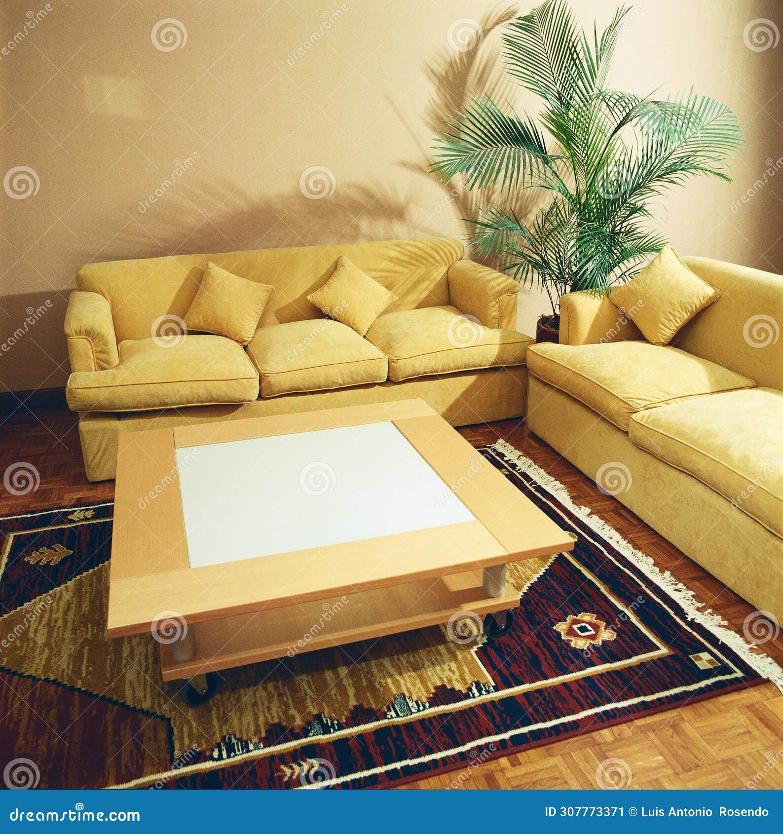 living room with carpet interior arquitecture decoration indoortable