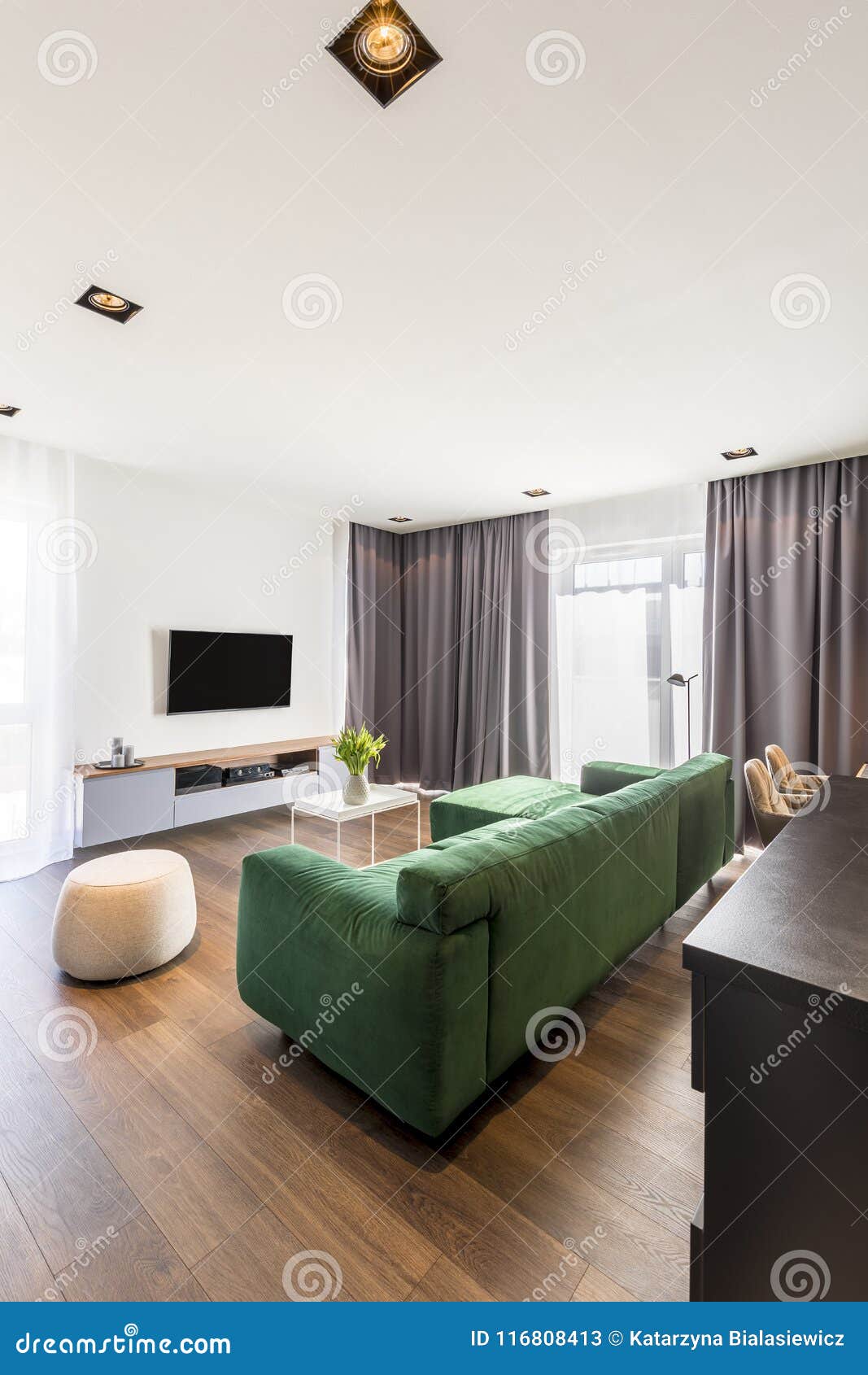 Living Room With Green Sofa Stock Image Image Of Velvet