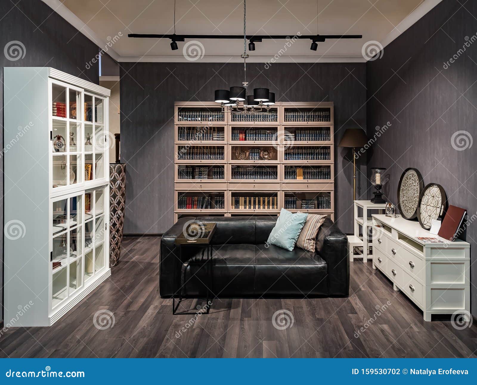Living Room Interior With Bookcase Cupboard Leather Sofa Coffee