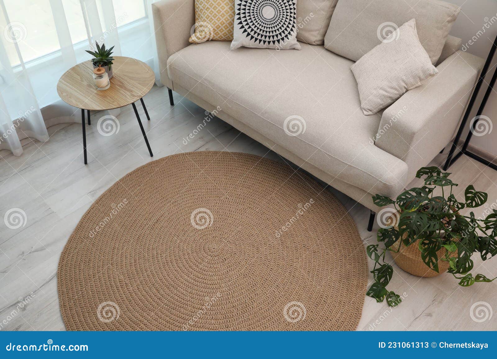 Living Room Interior with Comfortable Sofa and Stylish Round Rug, Above  View Stock Image - Image of carpet, domestic: 231061313