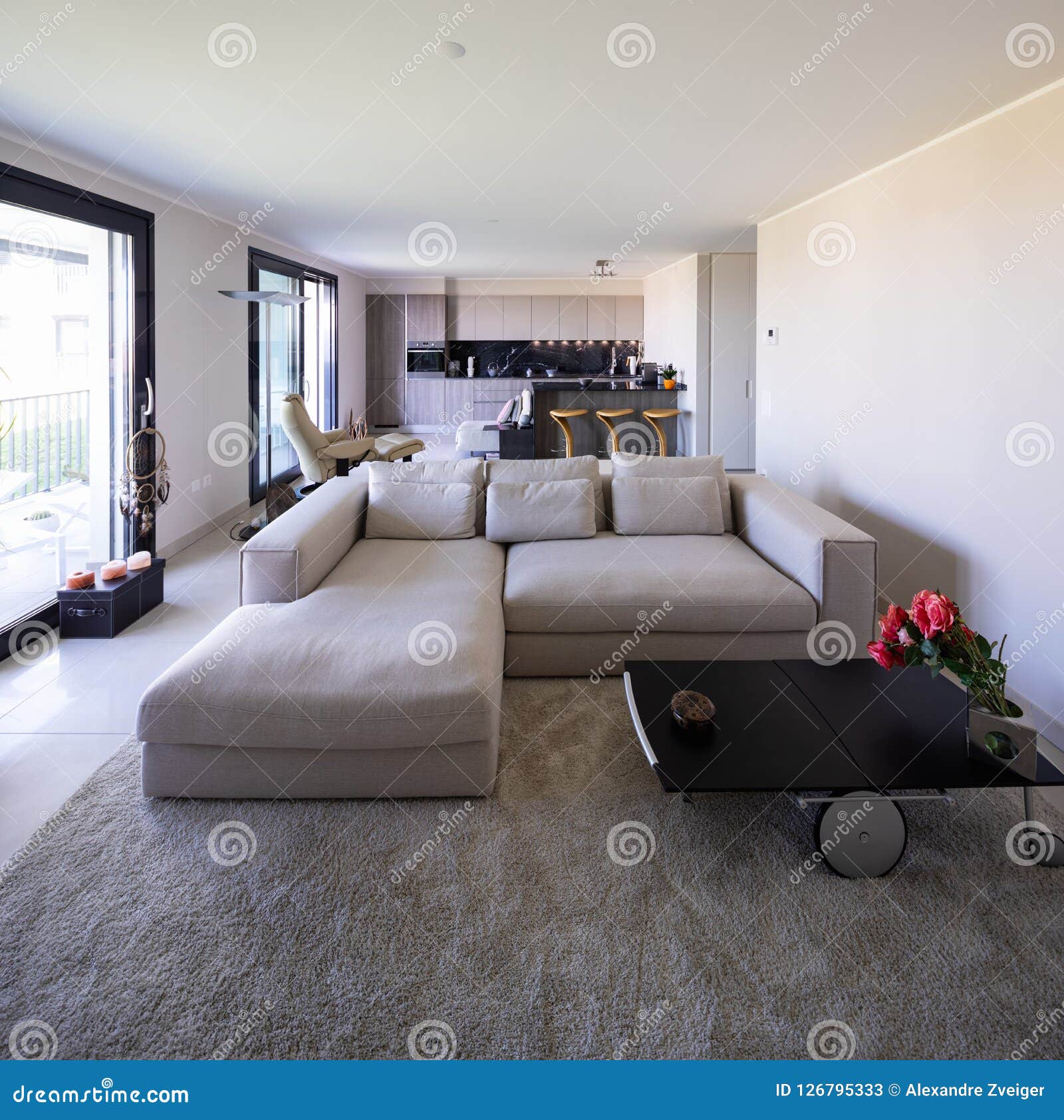 Living Room and Kitchen in Open Space, Modern Apartment Stock Image