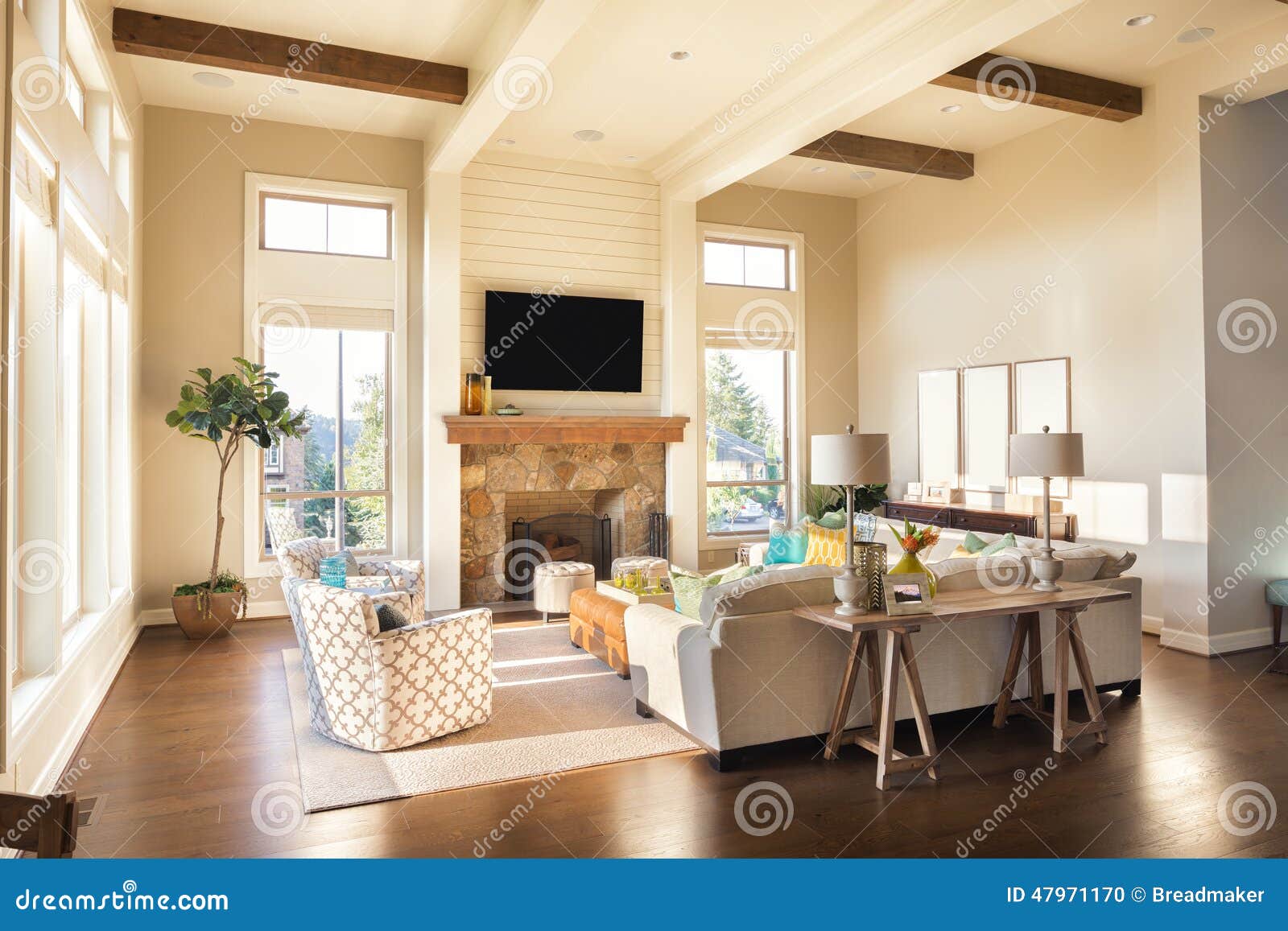 living room in new luxury home