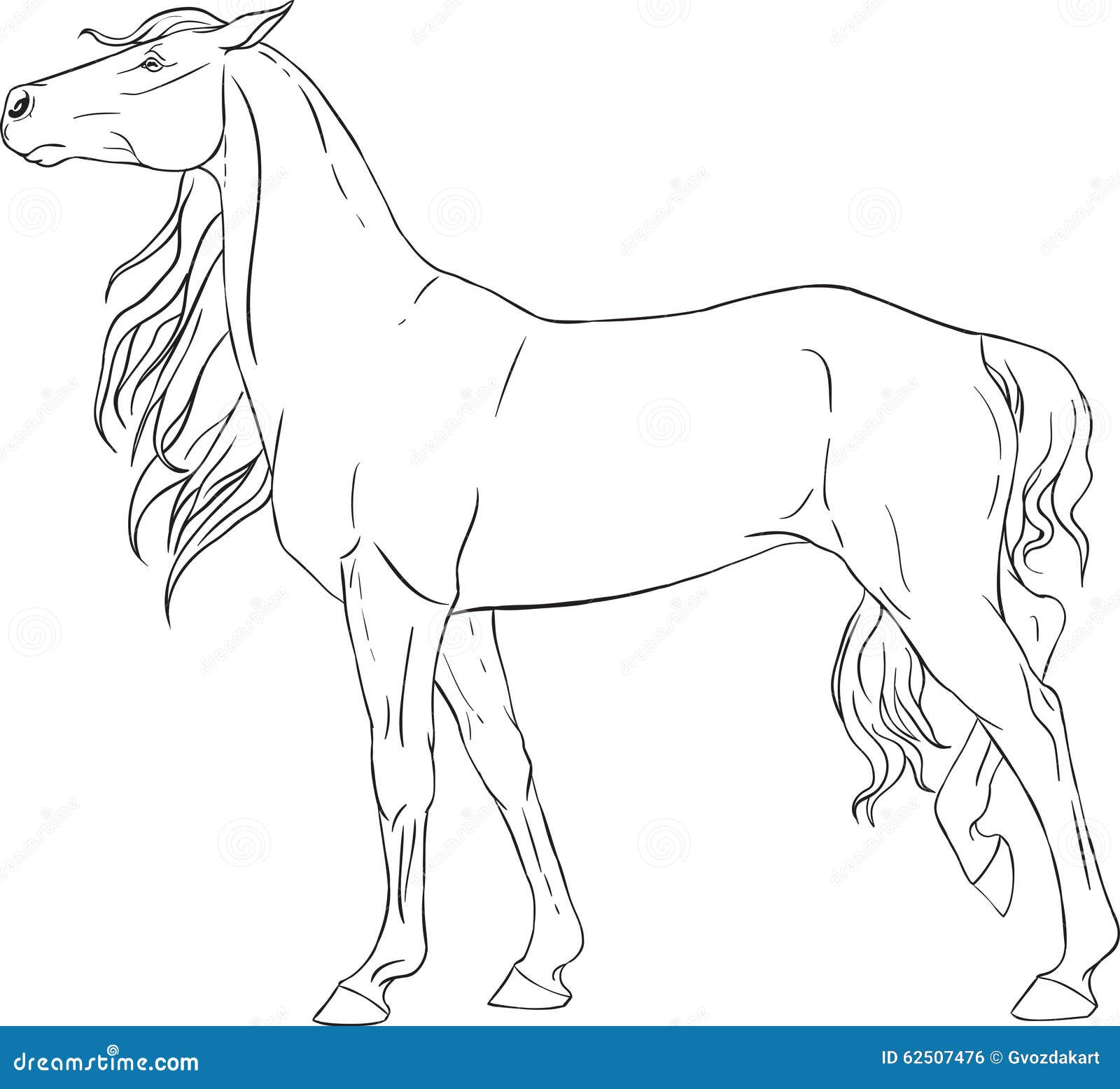 Livre de coloriage avec un cheval