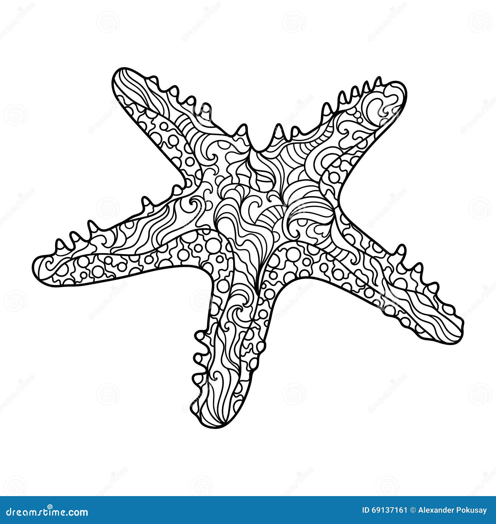 Livre De Coloriage D étoiles De Mer Pour Le Vecteur D adultes adulte