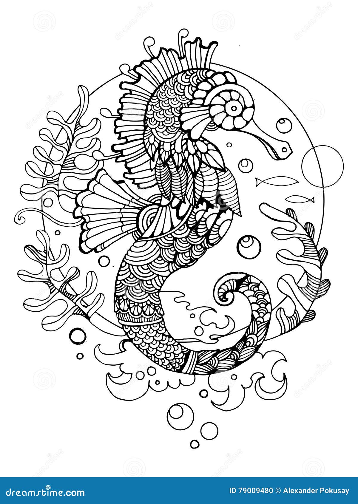 Livre de coloriage d hippocampe pour le vecteur d adultes