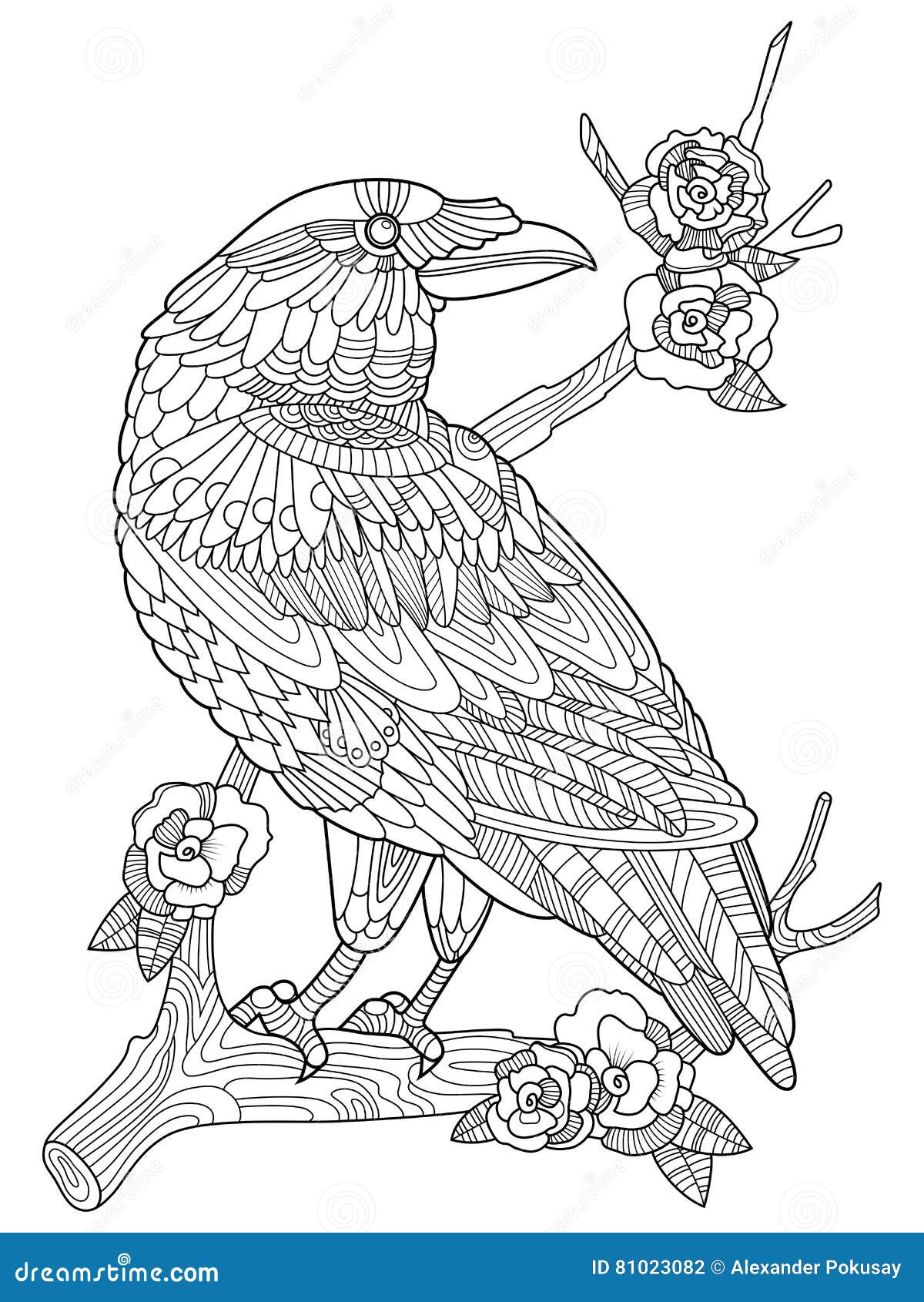 Livre de coloriage d oiseau de corneille pour le vecteur d adultes