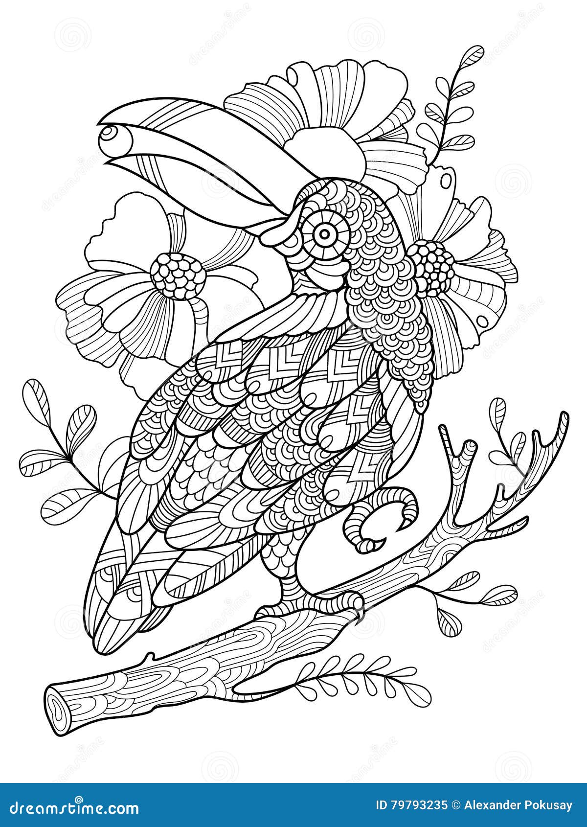 Livre de coloriage d oiseau de toucan pour le vecteur d adultes