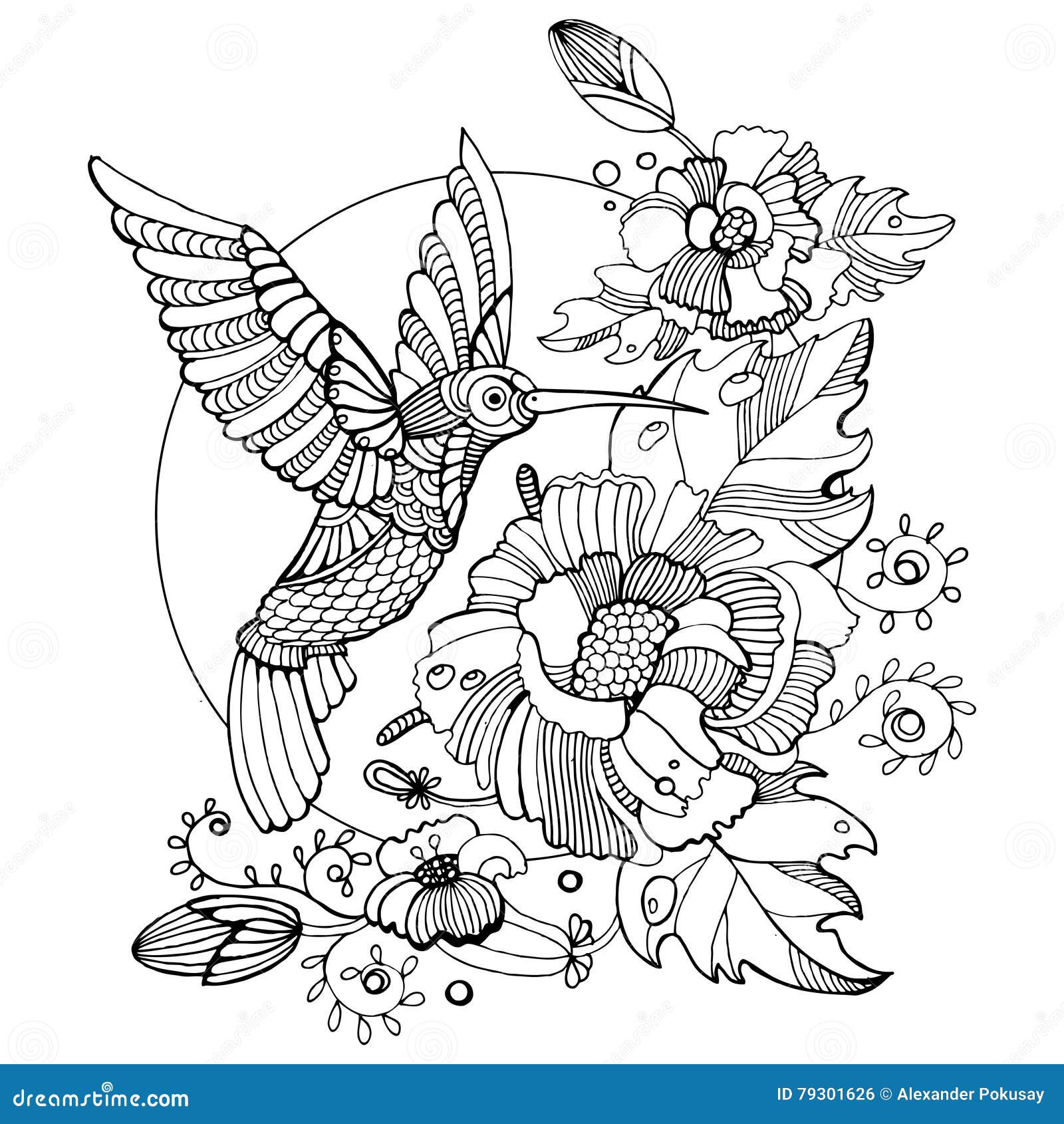Livre De Coloriage De Colibri Pour Le Vecteur D adultes adulte colibri