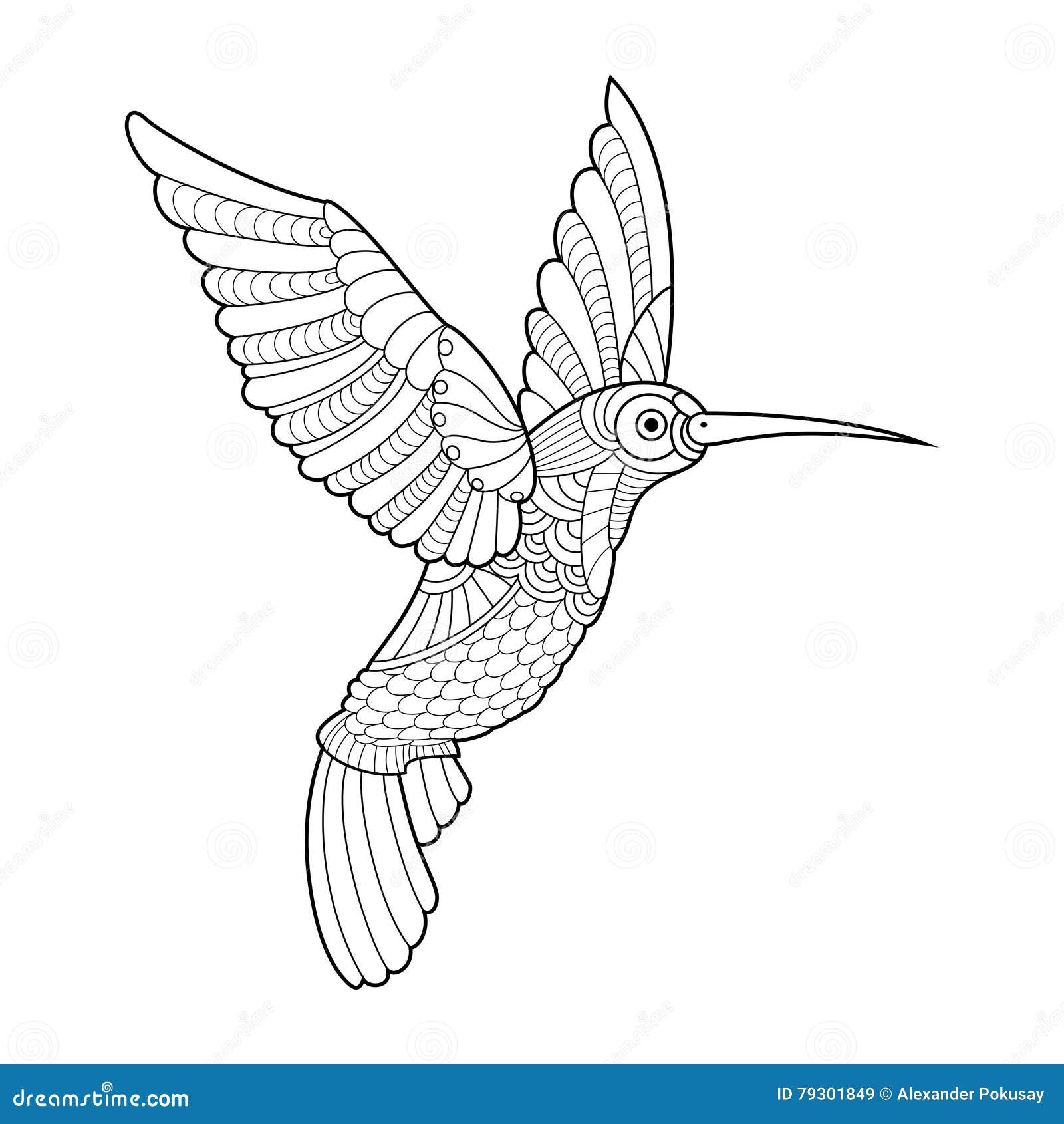 Livre De Coloriage De Colibri Pour Le Vecteur D adultes adulte colibri