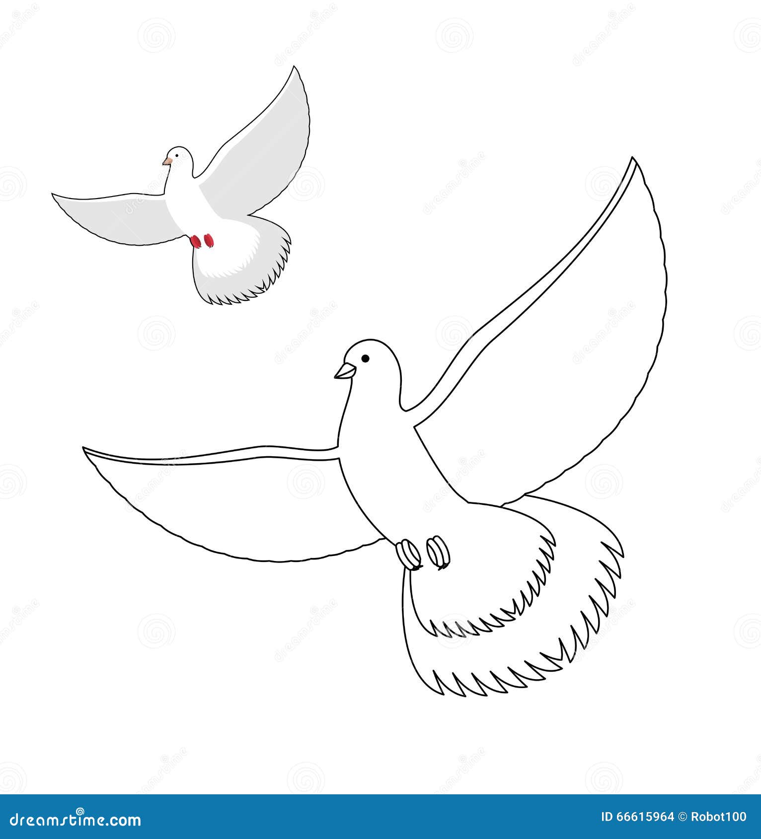 Livre De Coloriage De Colombe De Blanc Pigeon Blanc Volant