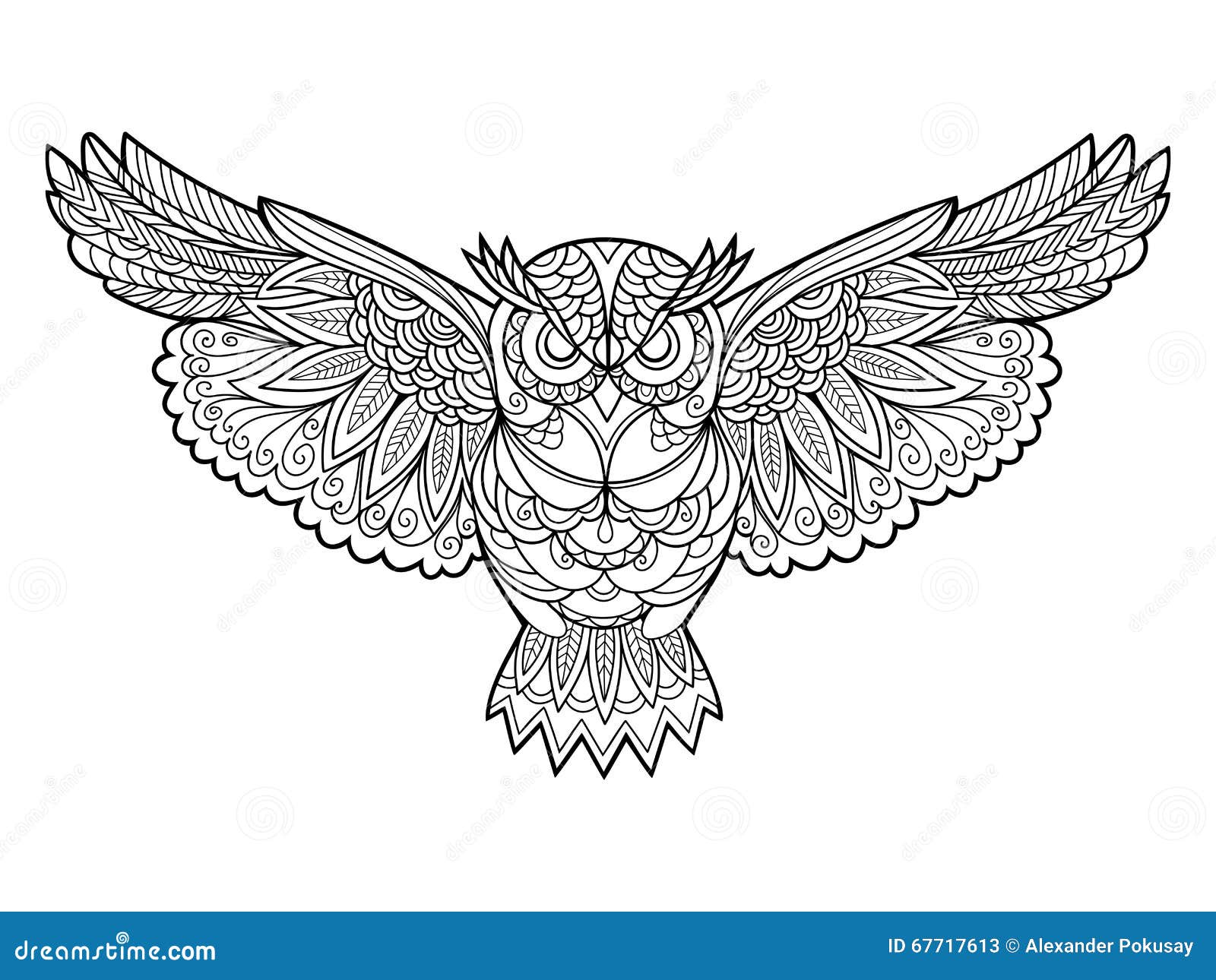 Livre de coloriage de hibou pour le vecteur d adultes