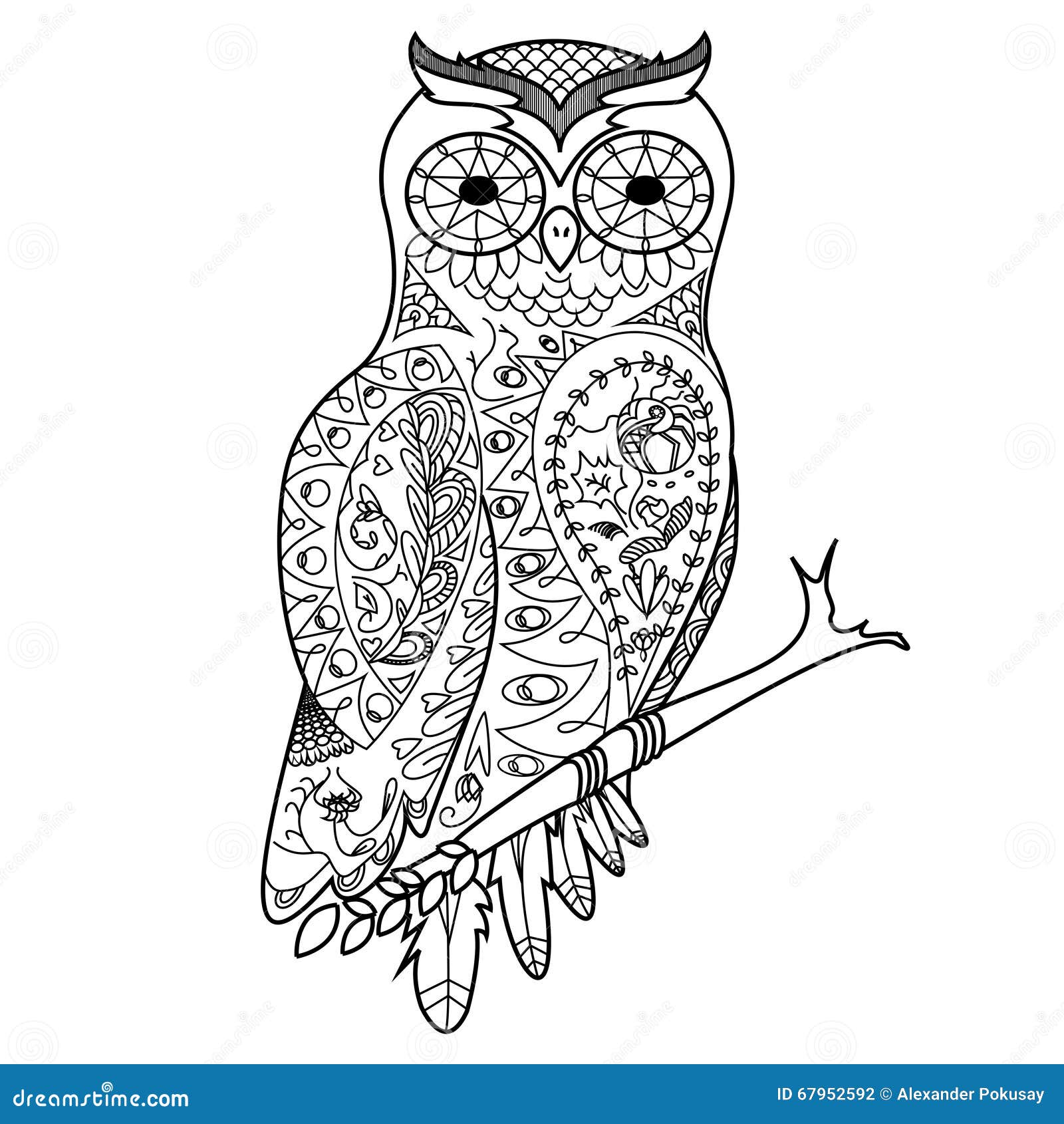 Livre De Coloriage De Hibou Pour Le Vecteur D adultes Illustration adulte anti coloration d hibou