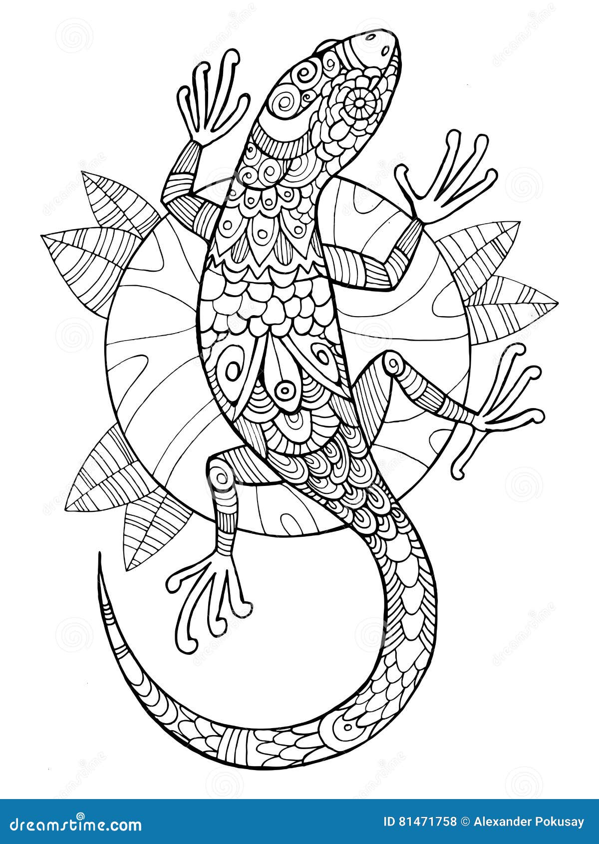 Livre De Coloriage De Lézard Pour Le Vecteur D adultes adulte coloration