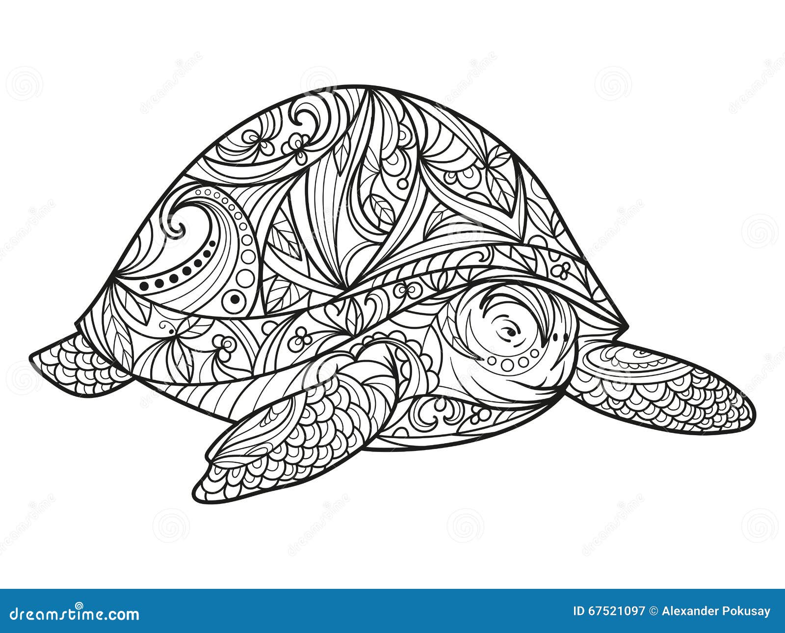 Livre de coloriage de tortue pour le vecteur d adultes graphie stock libre de droits