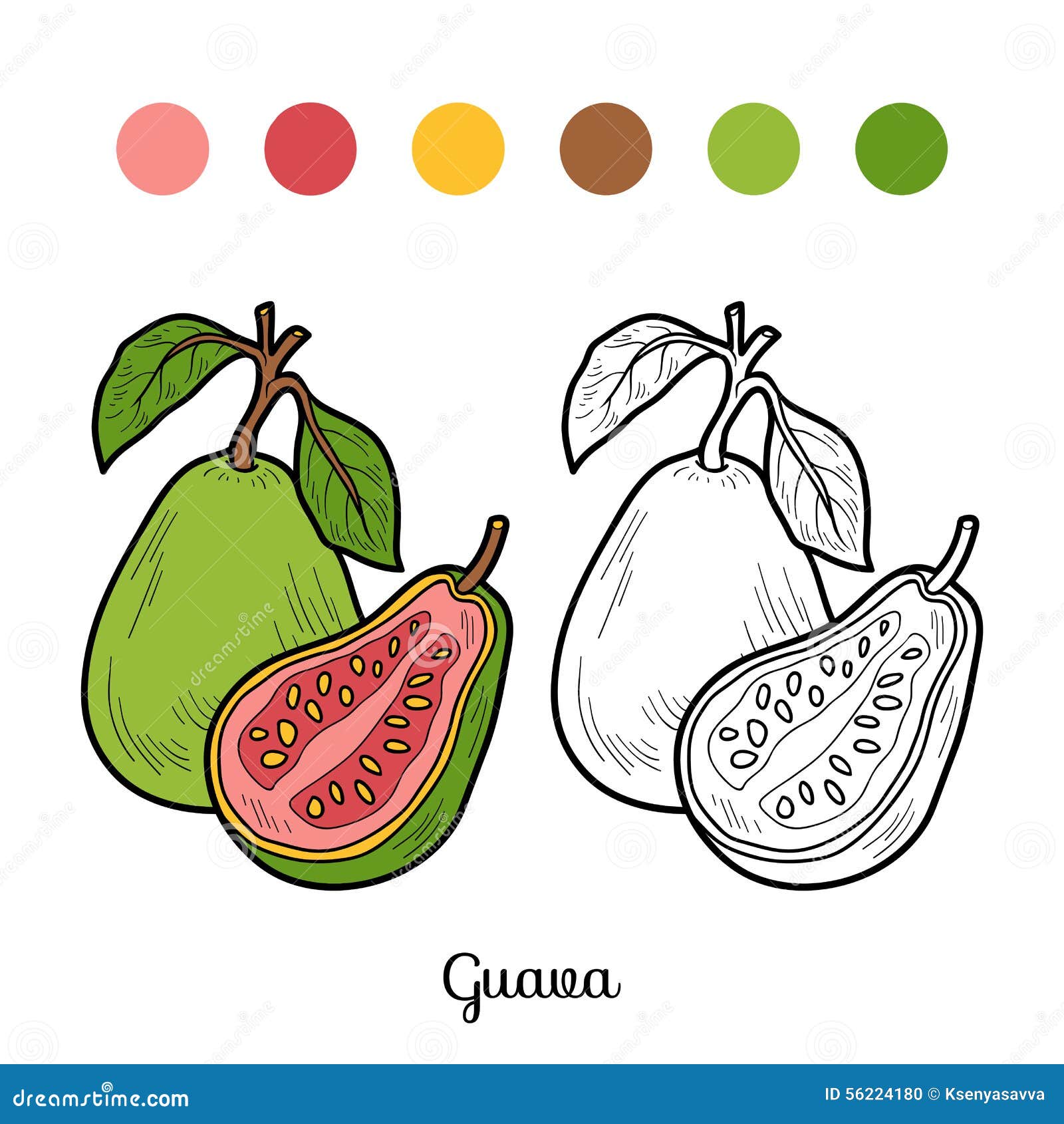Livre de coloriage fruits et légumes goyave