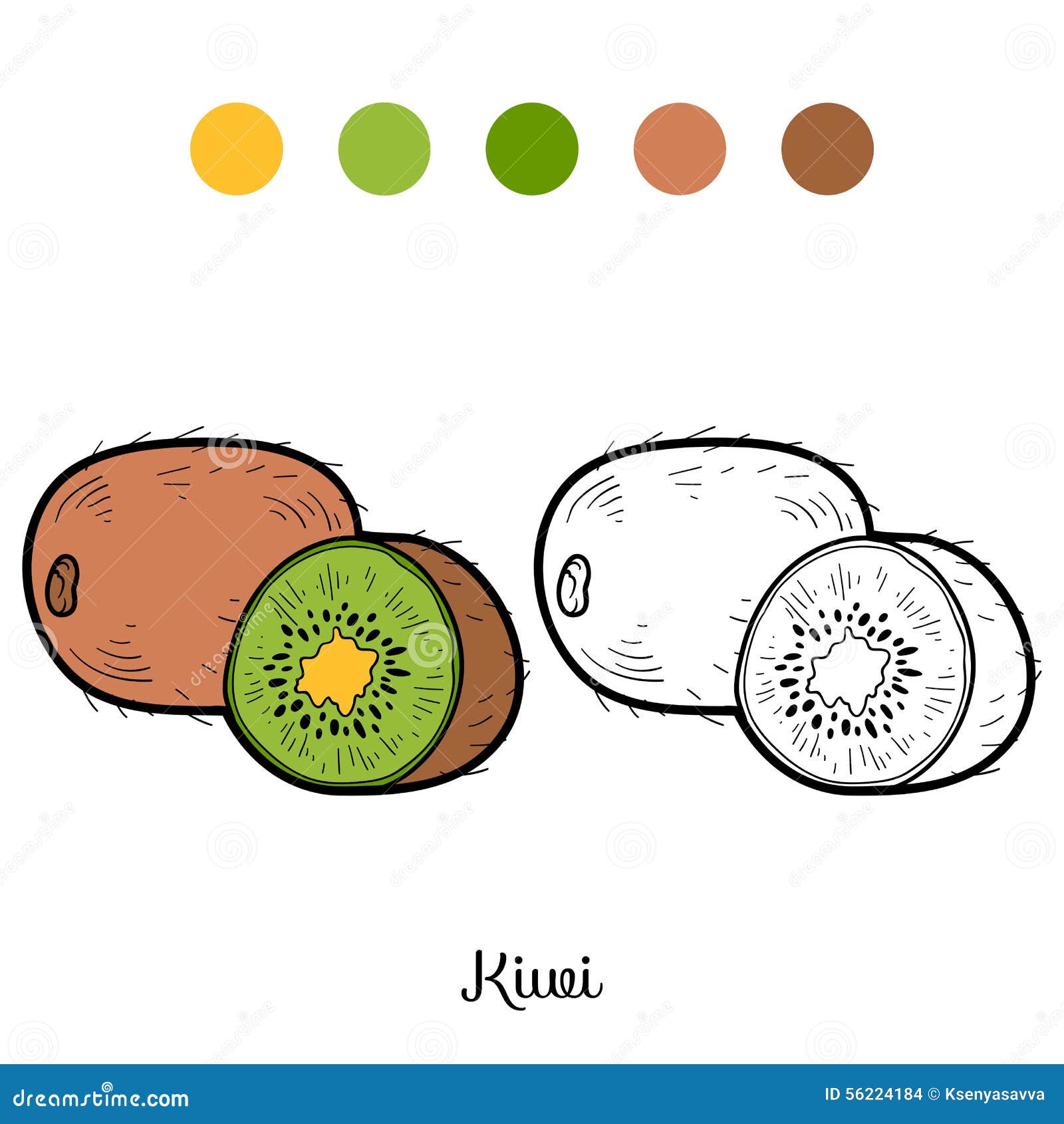 Livre de coloriage fruits et légumes kiwi Illustration de Vecteur