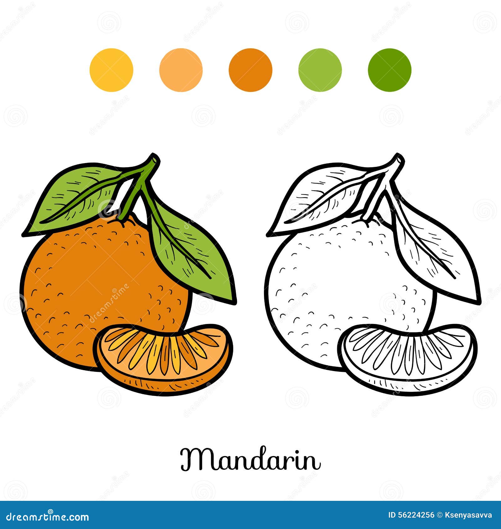 illustration stock livre de coloriage fruits et lgumes mandarine image