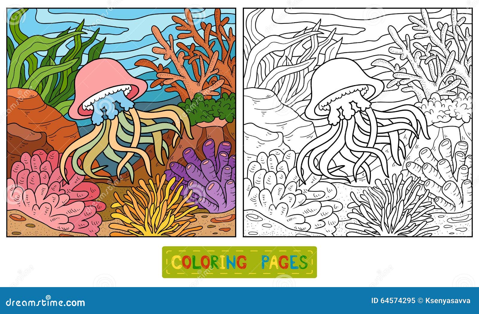 Livre De Coloriage méduses Et Fond Illustration de Vecteur fond