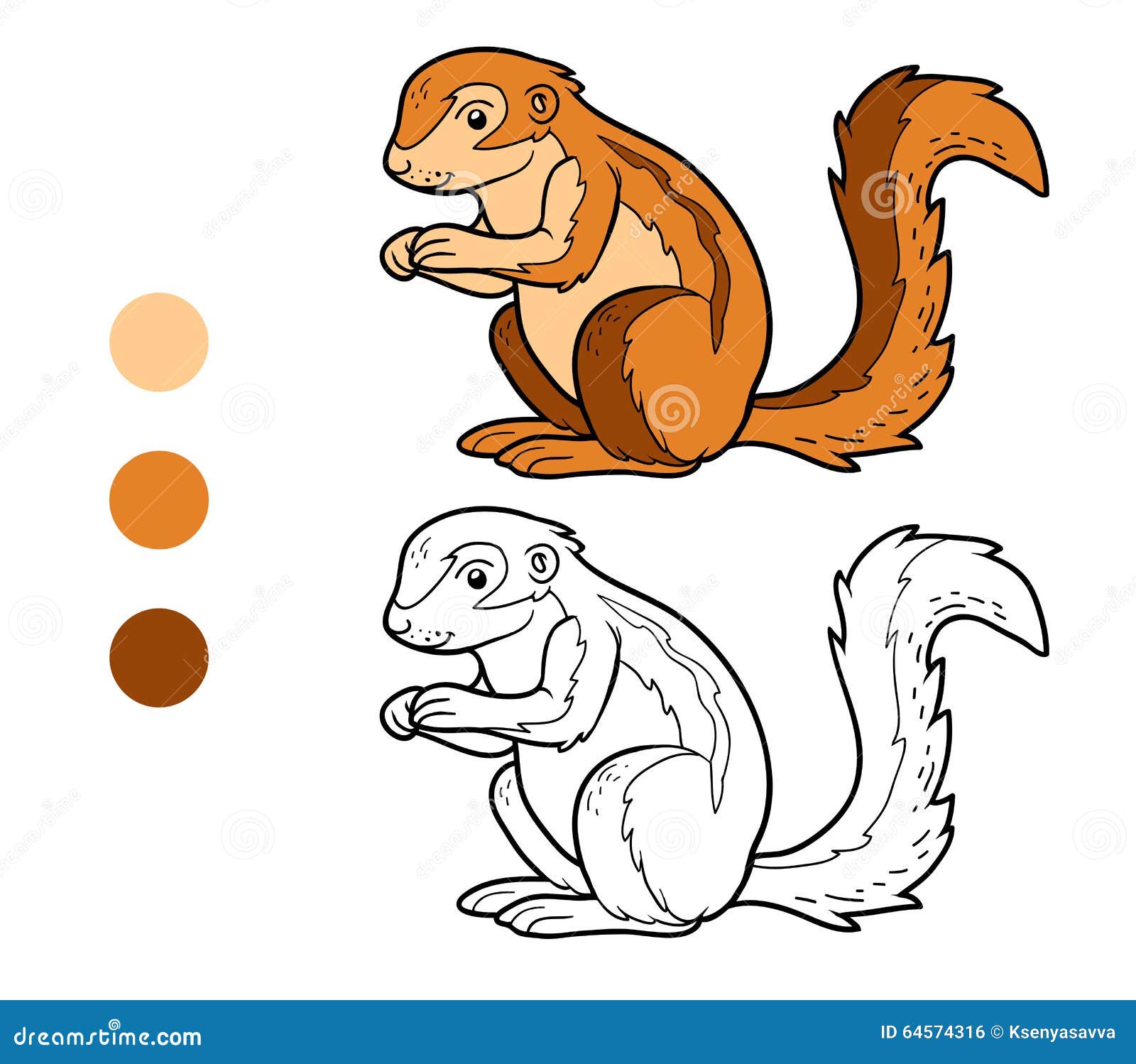 Livre De Coloriage Xerus Illustration De Vecteur Illustration Du Incolore 64574316