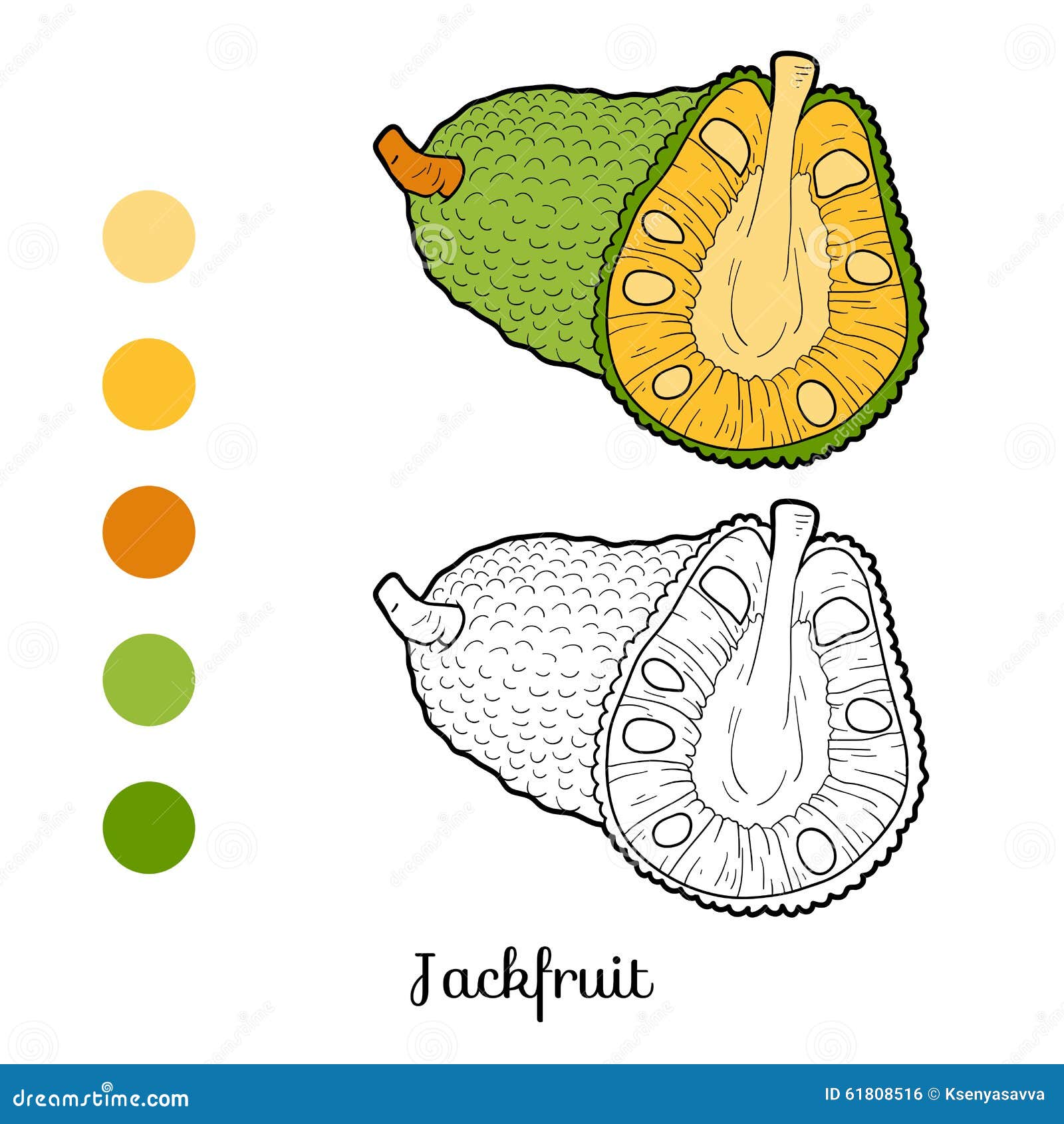 Foto De Stock Frutas Desenho Para Colorir Livro, Royalty-Free