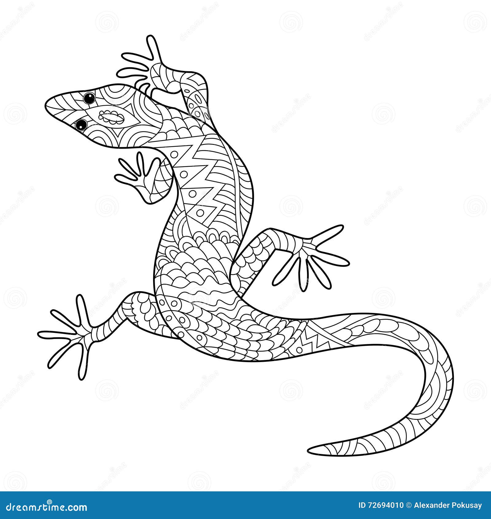 Lizard Coloring Book Adults Vector Stock Image 72694010 Royalty Free