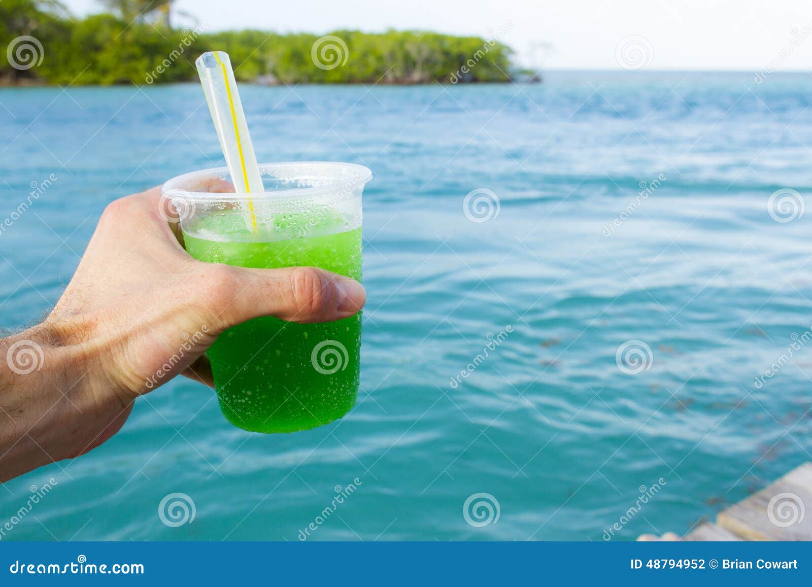 Lizard Juice stock photo. Image of looking, caye, lake 48794952