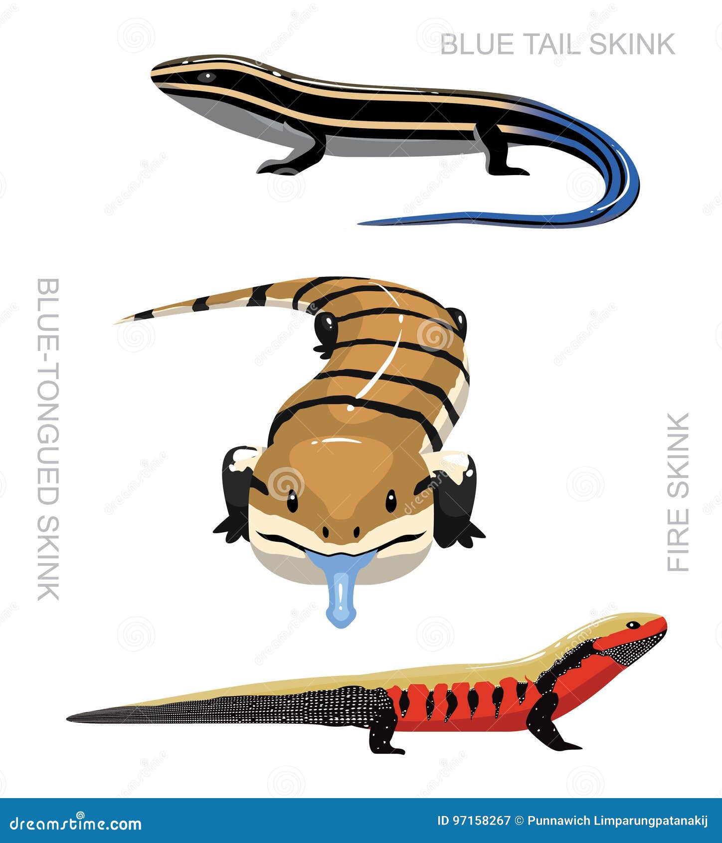 Lizard Skink Set Cartoon Vector Illustration Stock Vector - Illustration of lizard, animal: 97158267