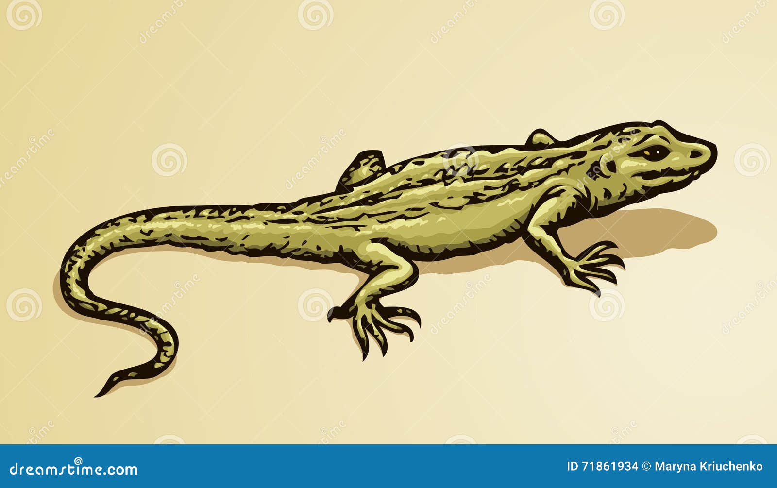 Vector Desert Iguana Cartoon Vector | CartoonDealer.com 