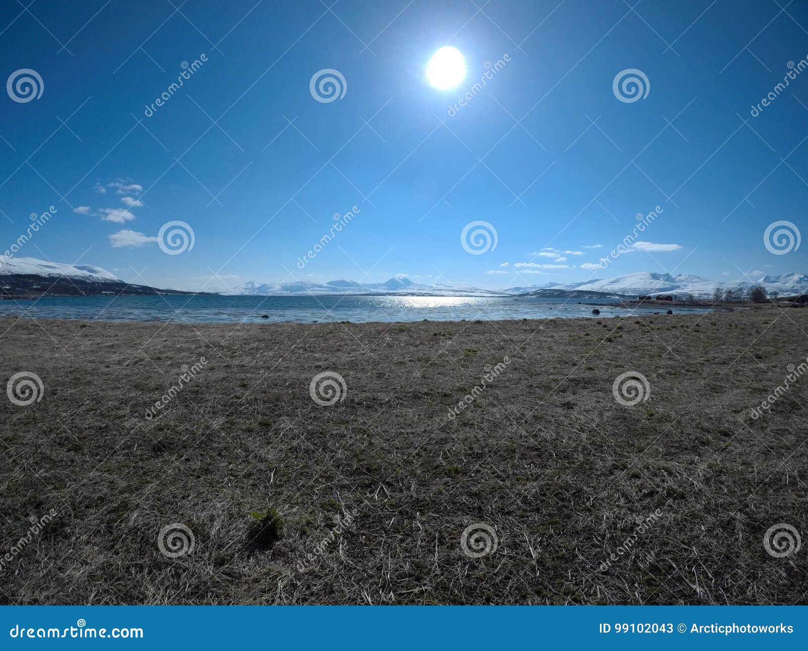 Ljust solsken över fjorden och betar länge