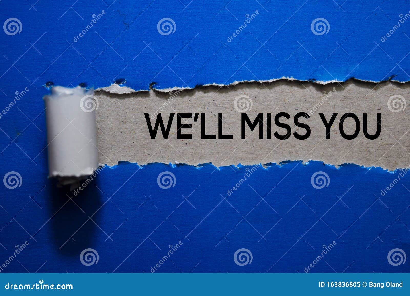 we`ll miss you text written in torn paper