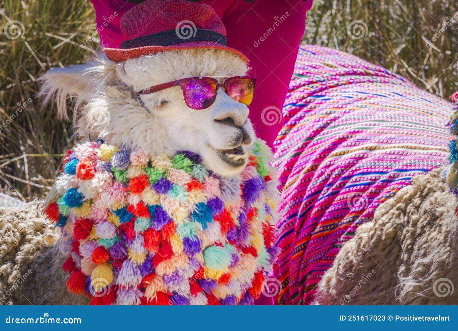 Llama con gafas de sol hotsell