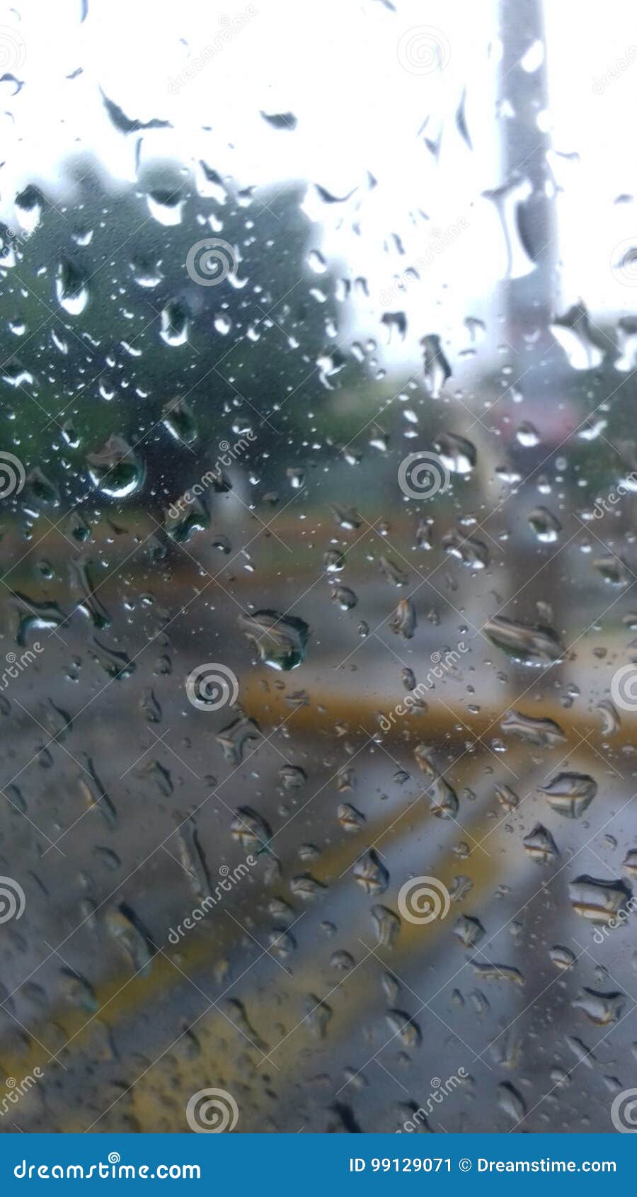 lluvia