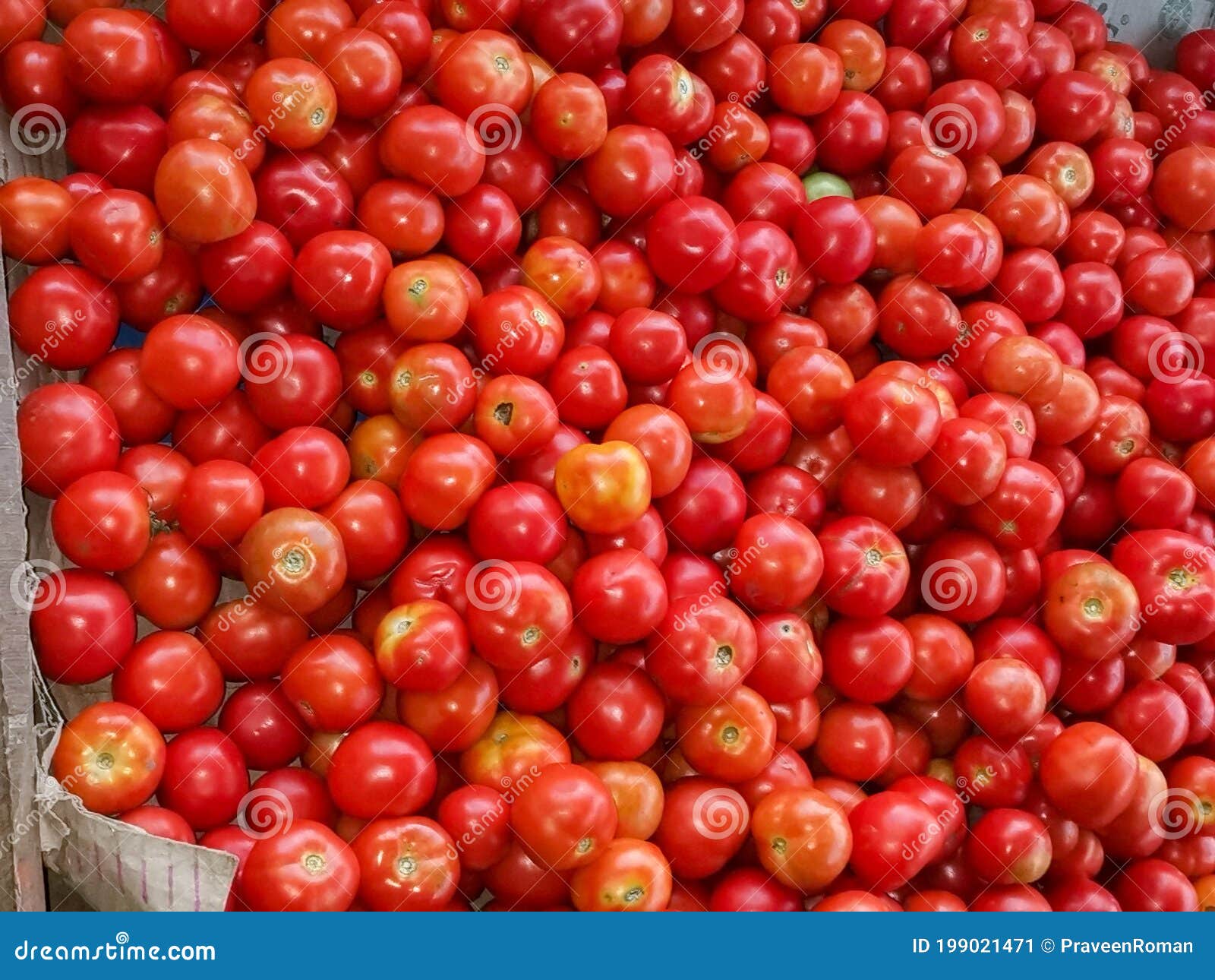 A Load of Tomatoes in a Retail Shop Stock Image Image of nature