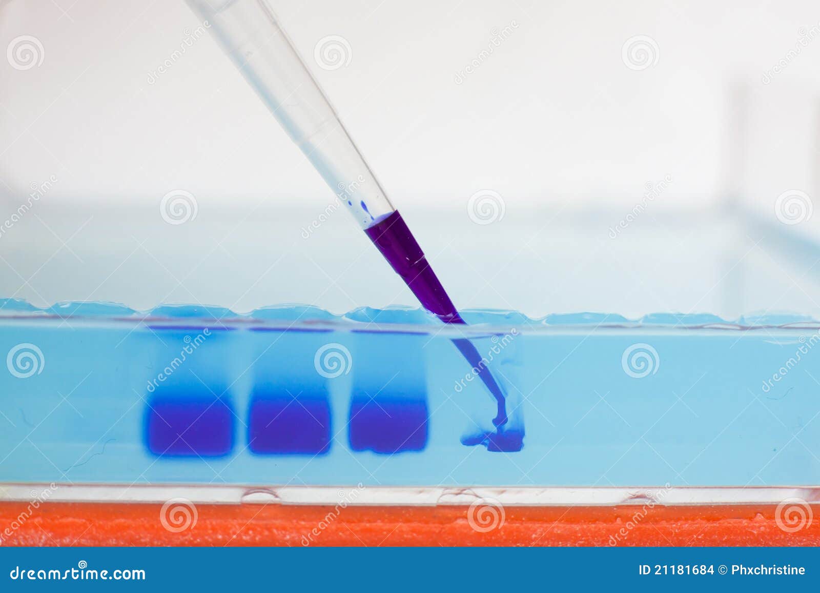 loading an agarose gel