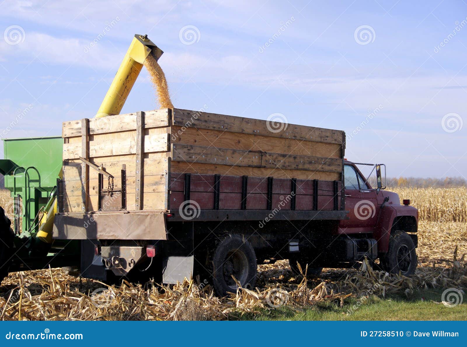 Loading corn on truck stock photo. Image of chopper, stalk 27258510