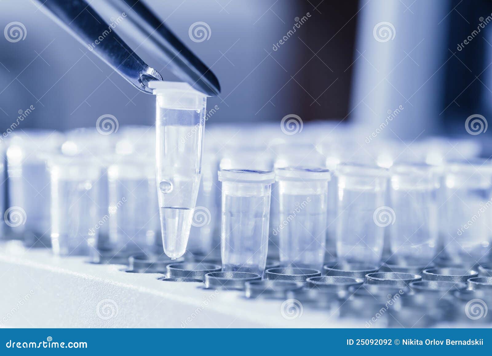 Loading DNA Samples for PCR Stock Photo Image of polymerase, polymer