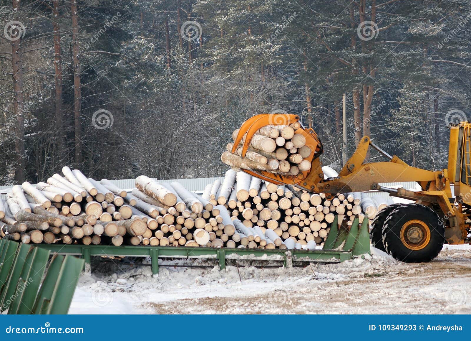Loading Lumber. Forest Logs, Unload The Tractor. Forest Industry. Stock